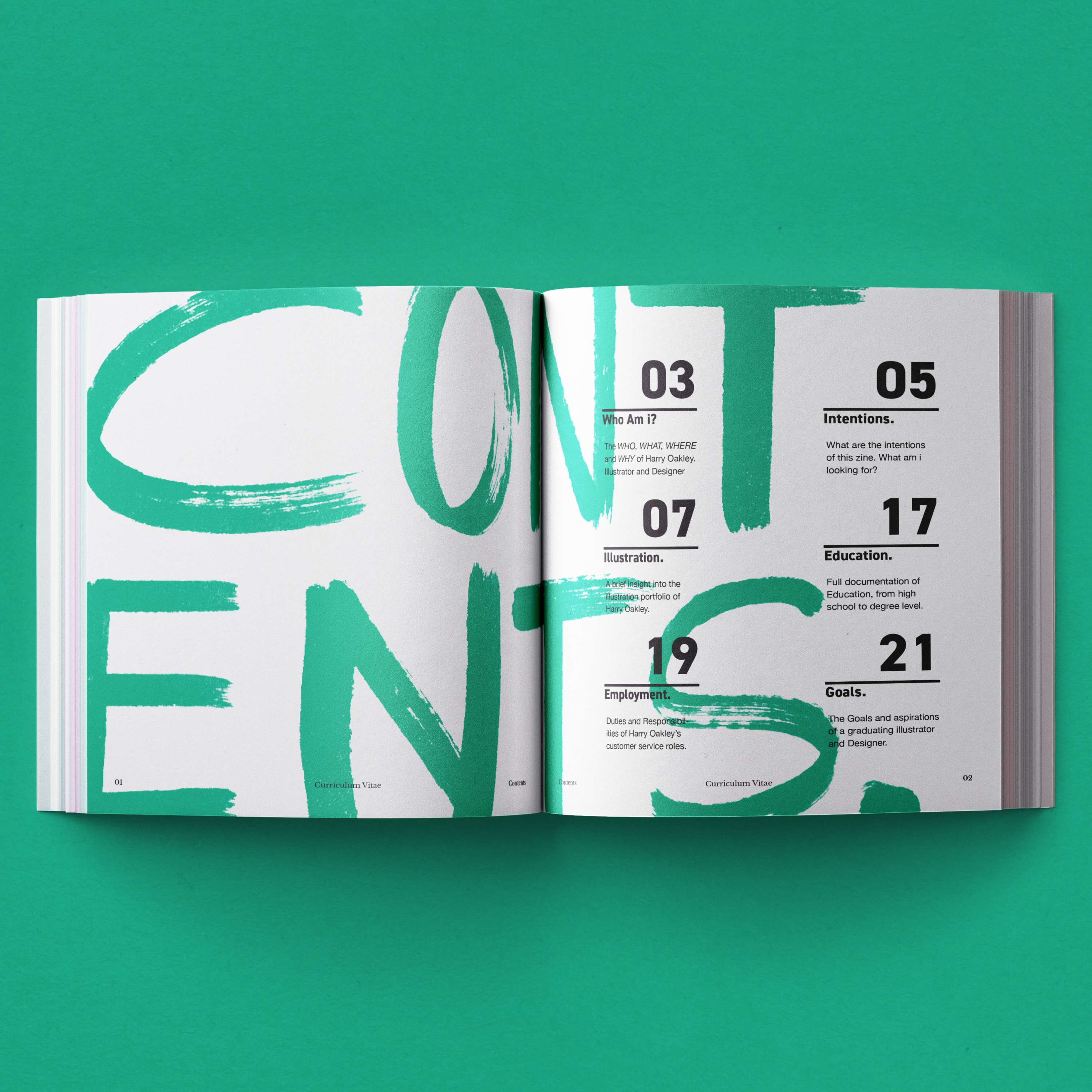 Curriculum Vitae Harry Oakley by Harry Oakley