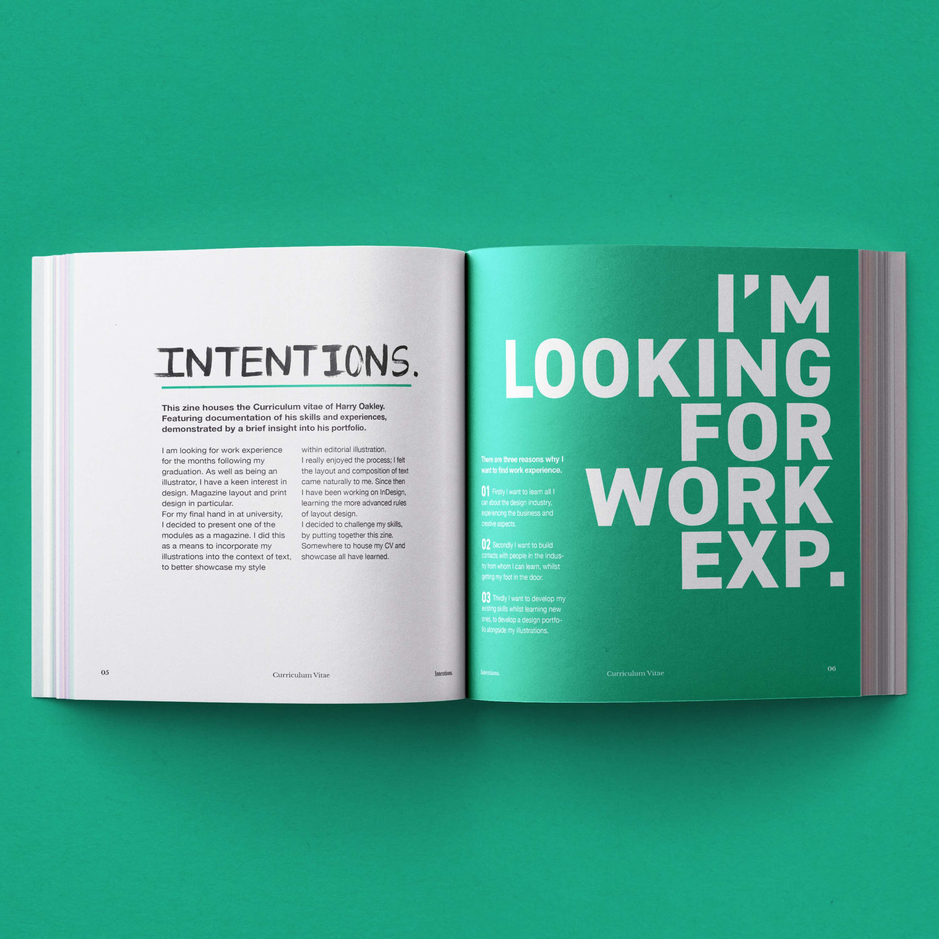 Curriculum Vitae Harry Oakley by Harry Oakley
