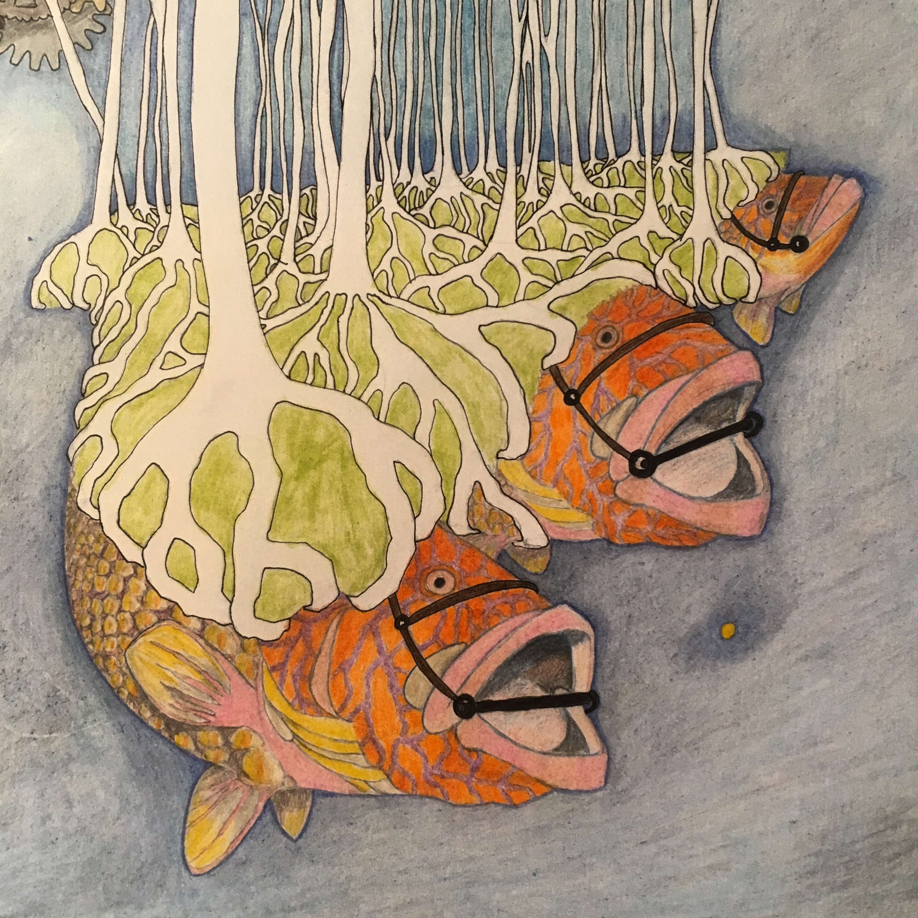 MirMarnia - an exploration into parallel universes by Franceska McCullough