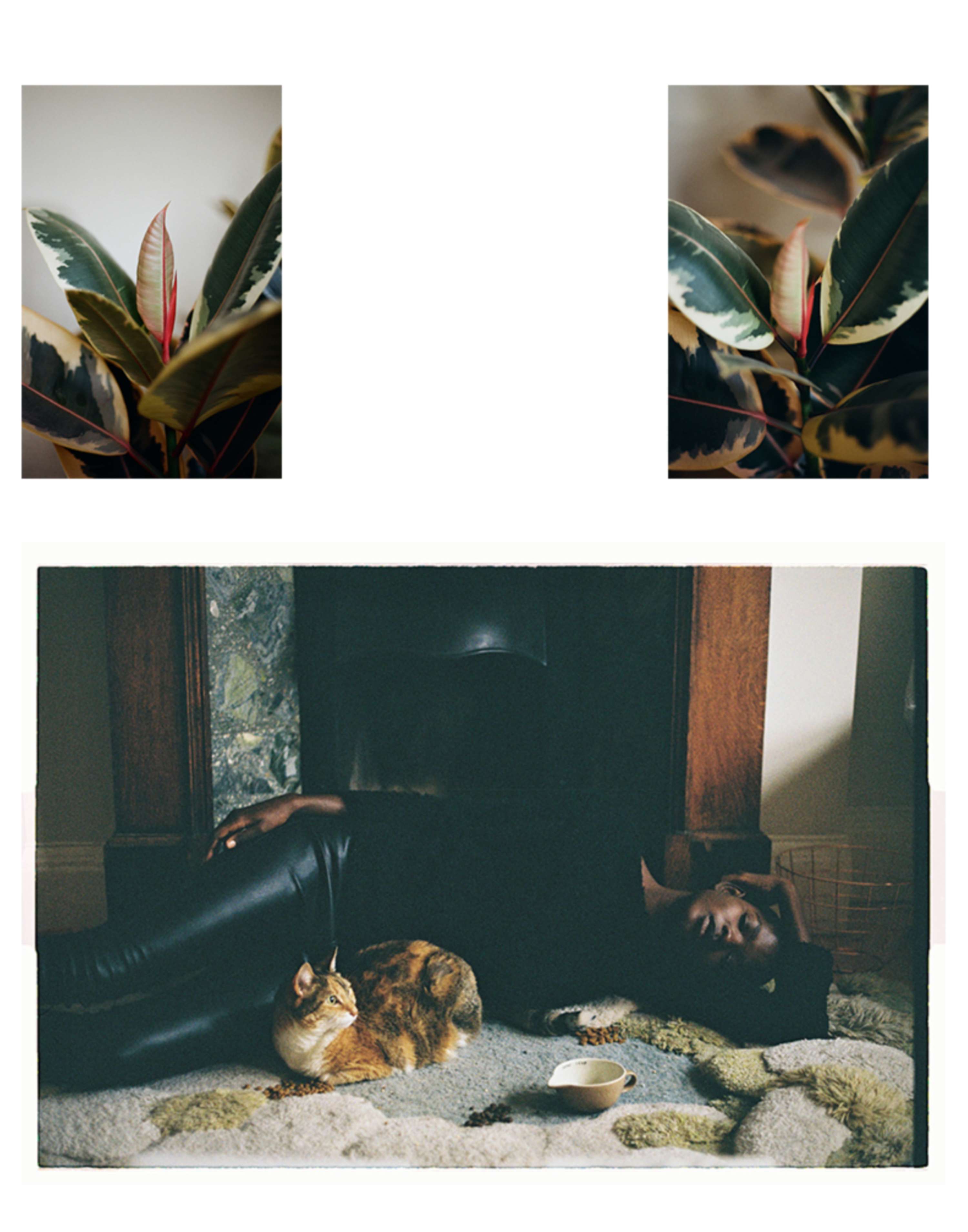 Portfolio by Andree Martis