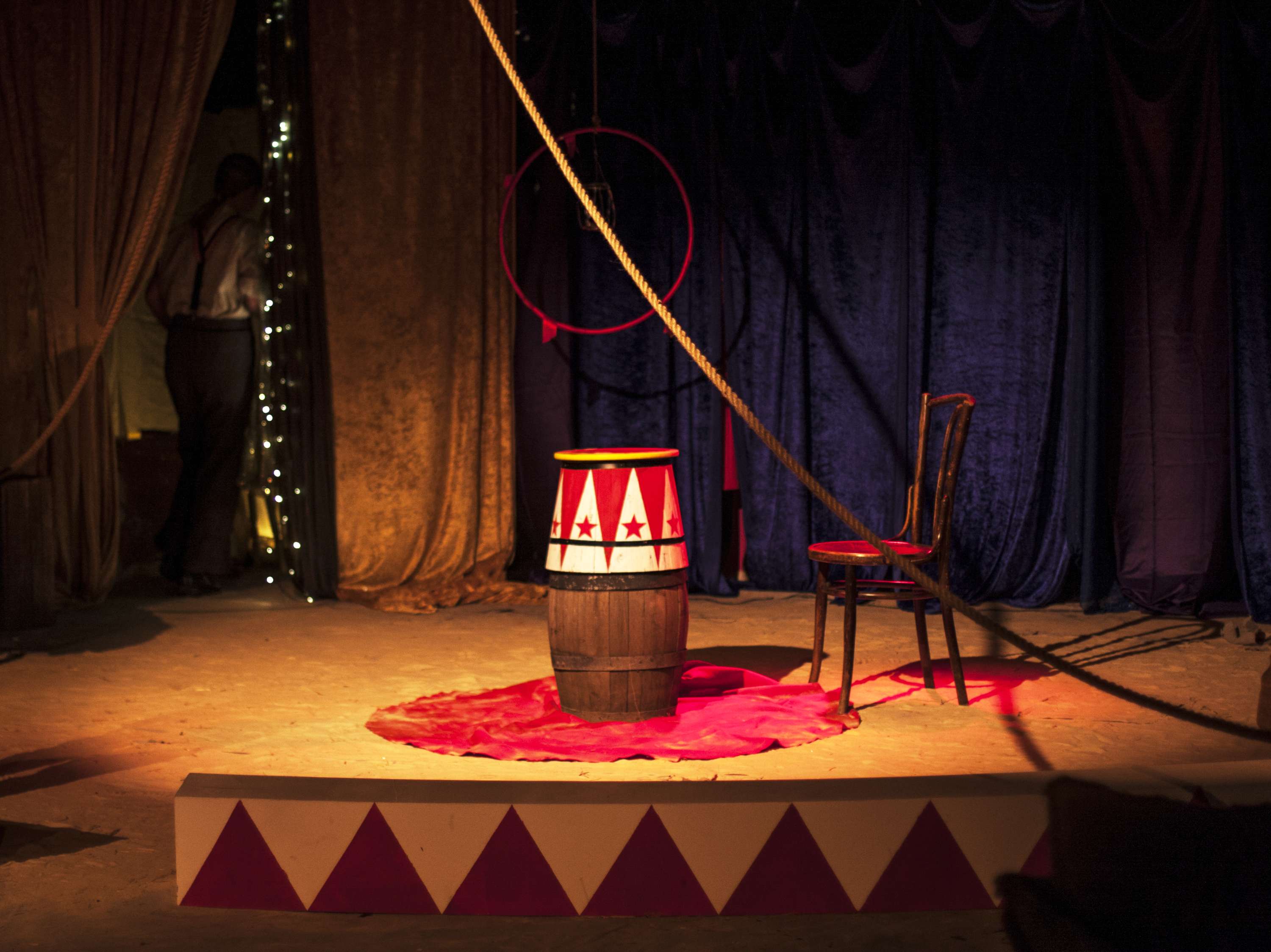 The Bedbug by MAYA ANGELI