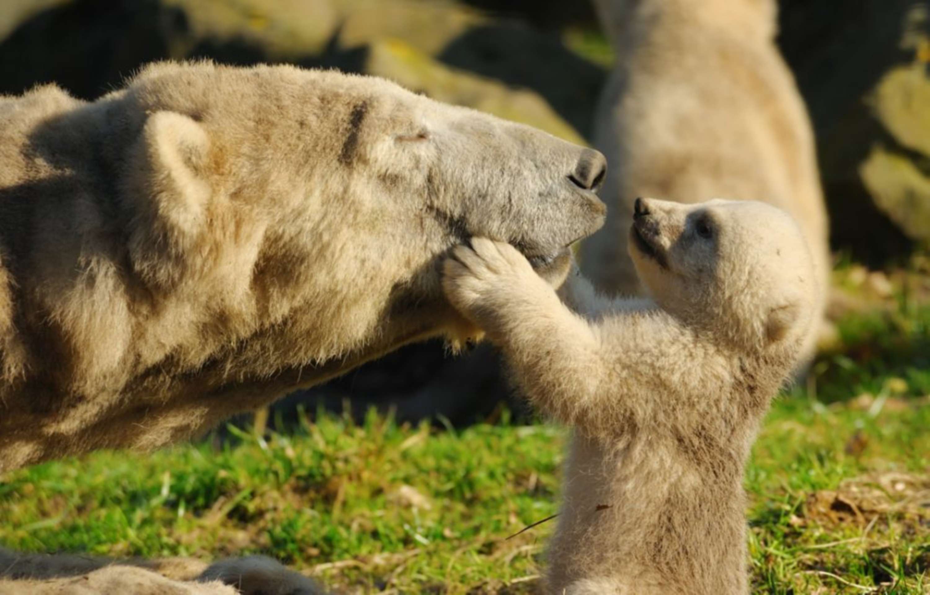 6 Types of Images That Elicit an Emotional Response by Shutterstock