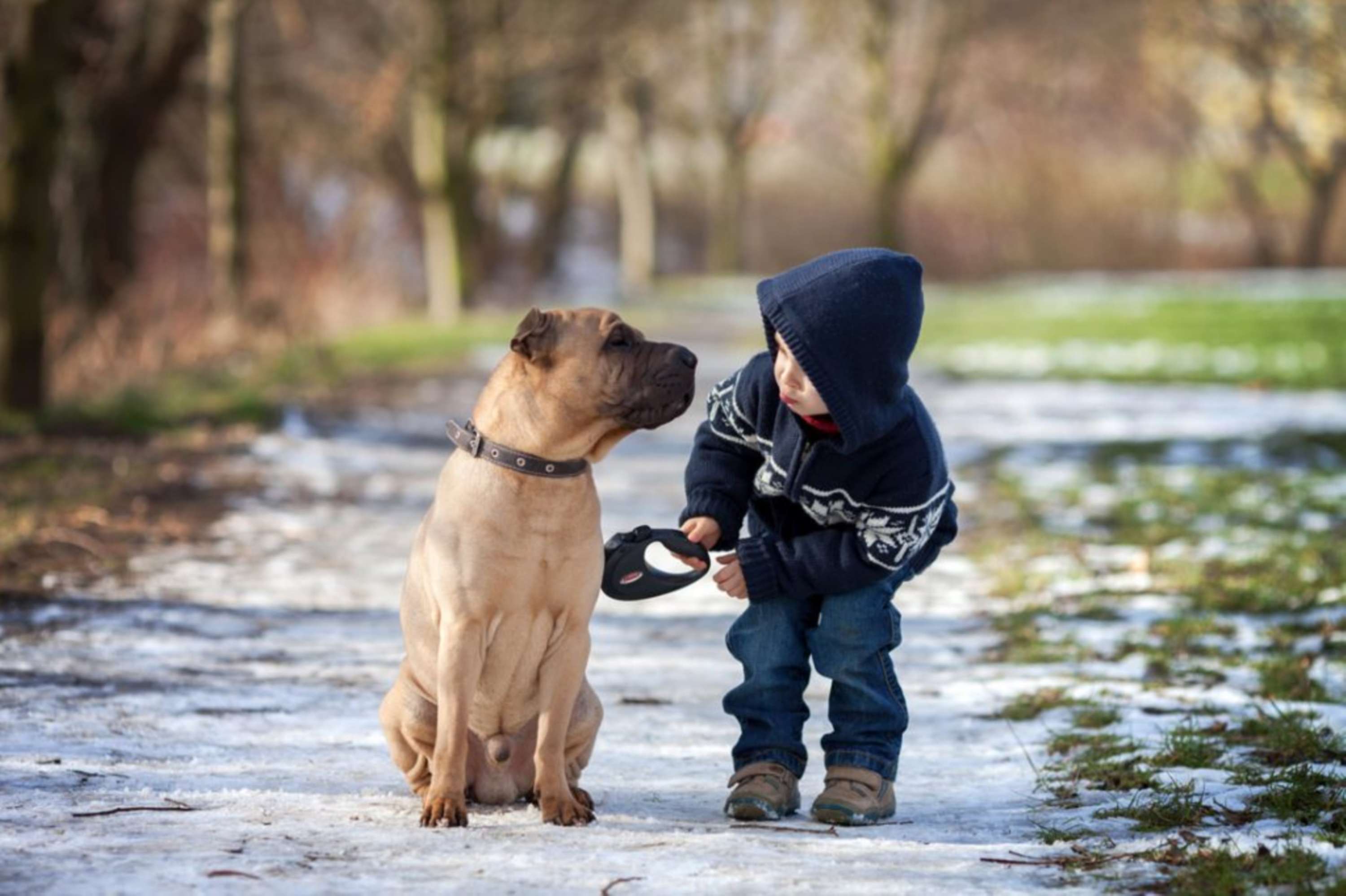 6 Types of Images That Elicit an Emotional Response by Shutterstock