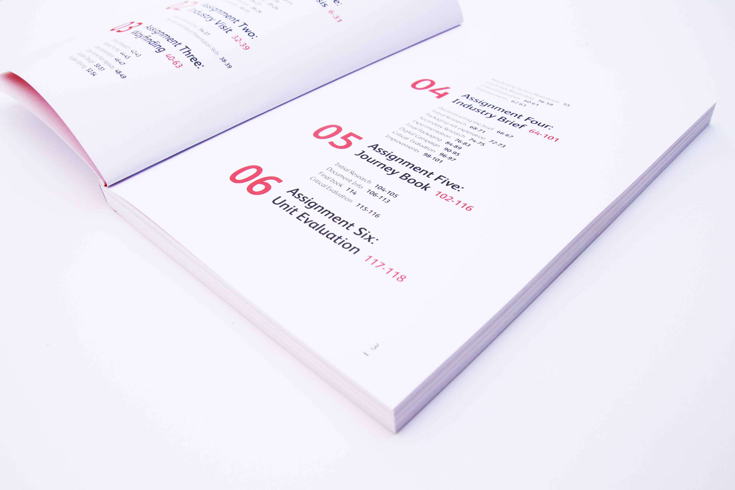 Visual Systems Journey Book by Eilidh Smith