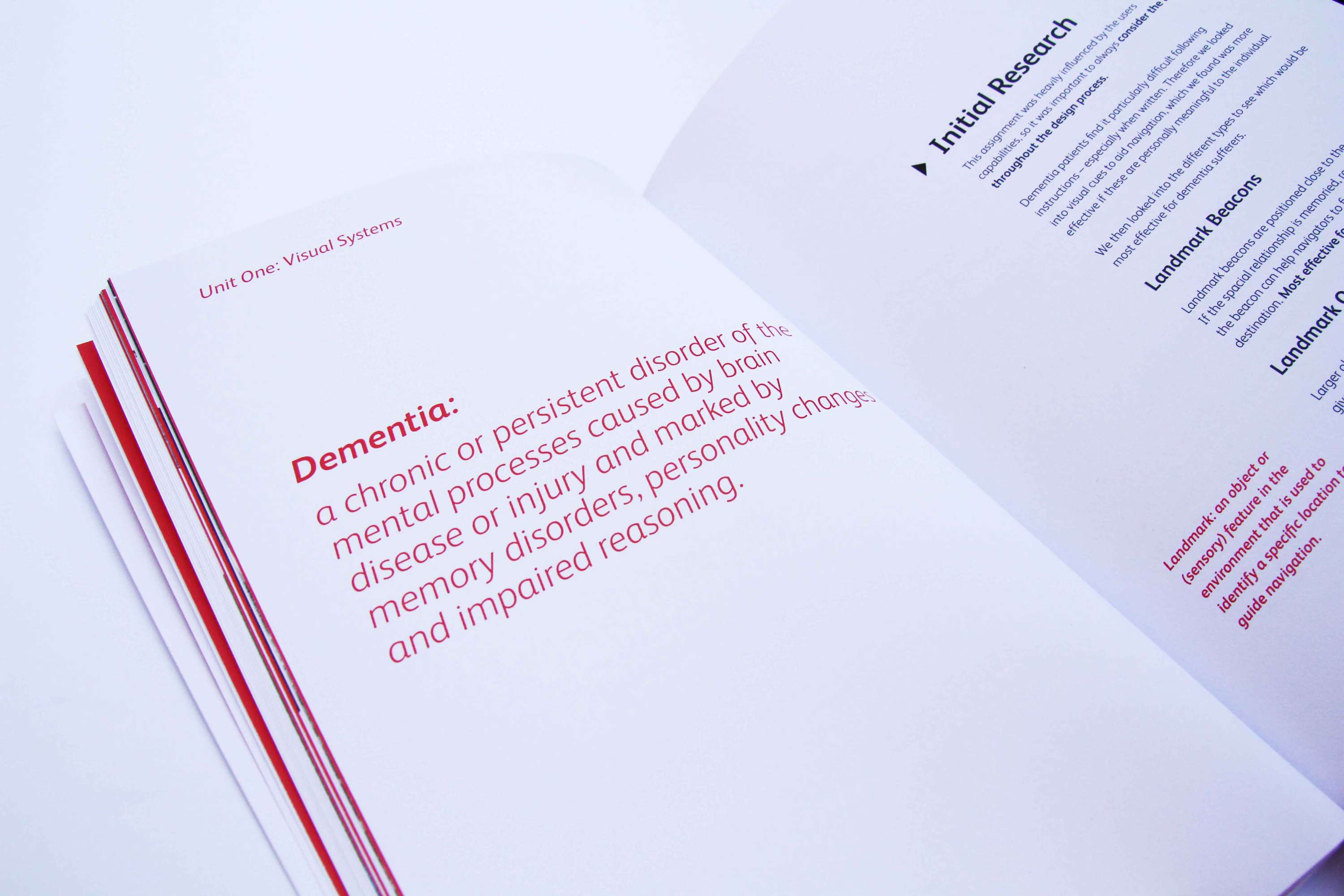 Visual Systems Journey Book by Eilidh Smith