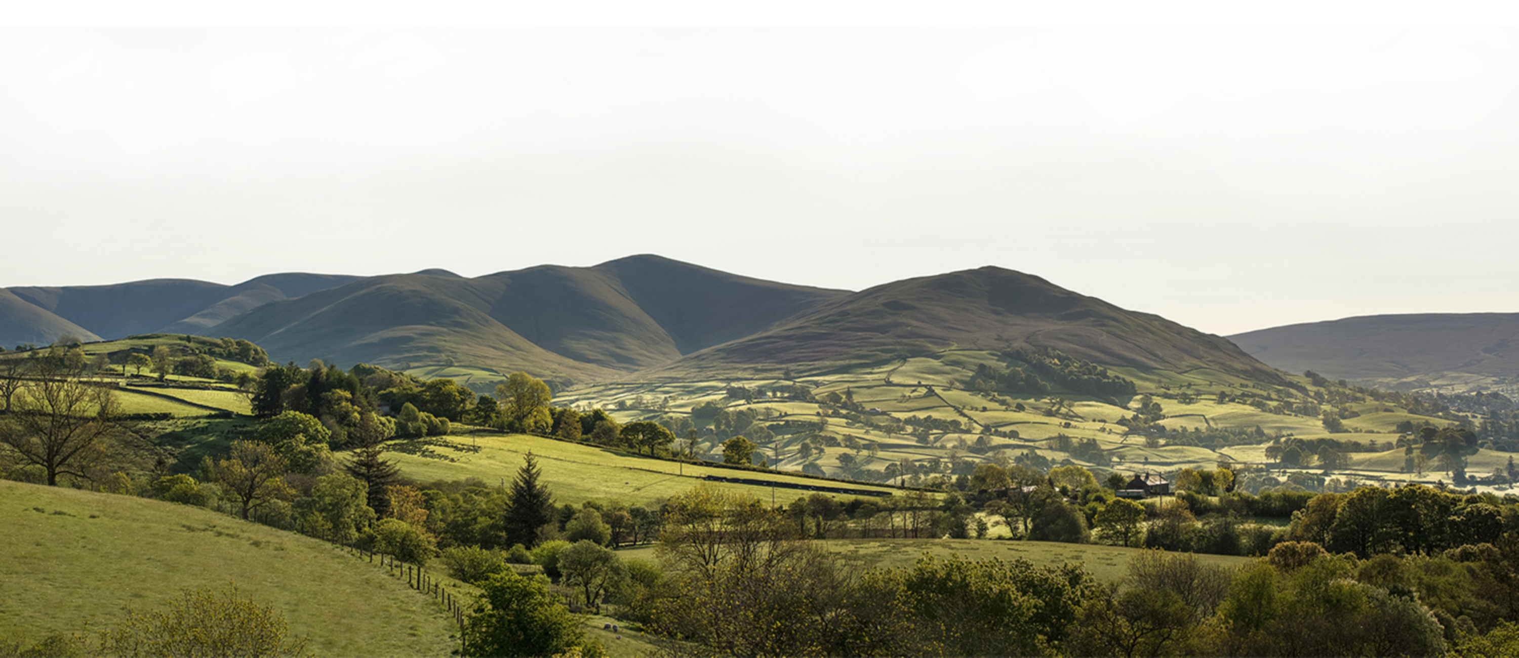 Three Hares Website by Off Grid