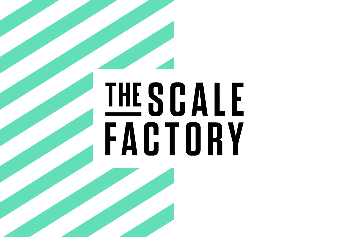 The Scale Factory by Sanj Sahota