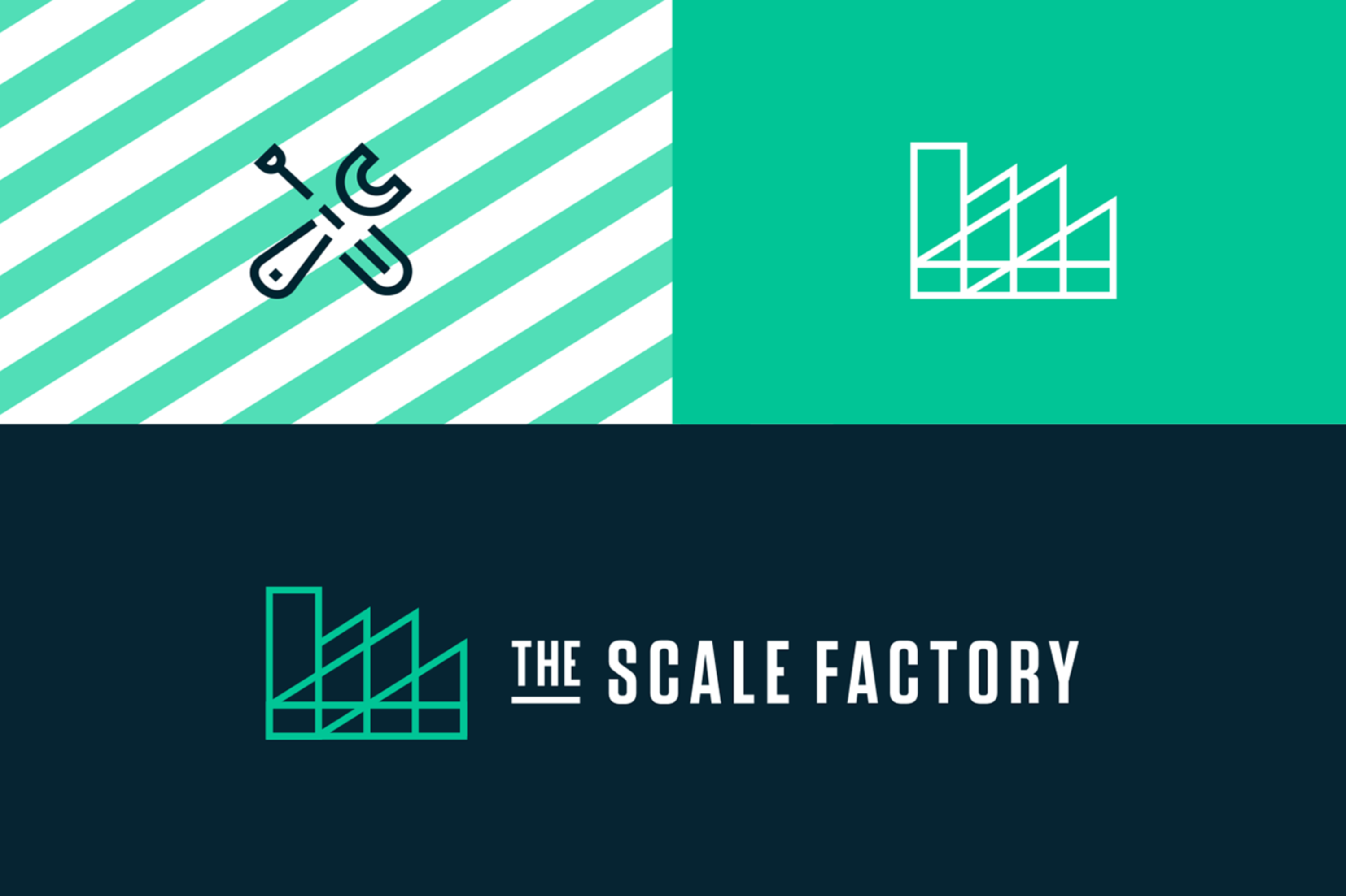 The Scale Factory by Sanj Sahota