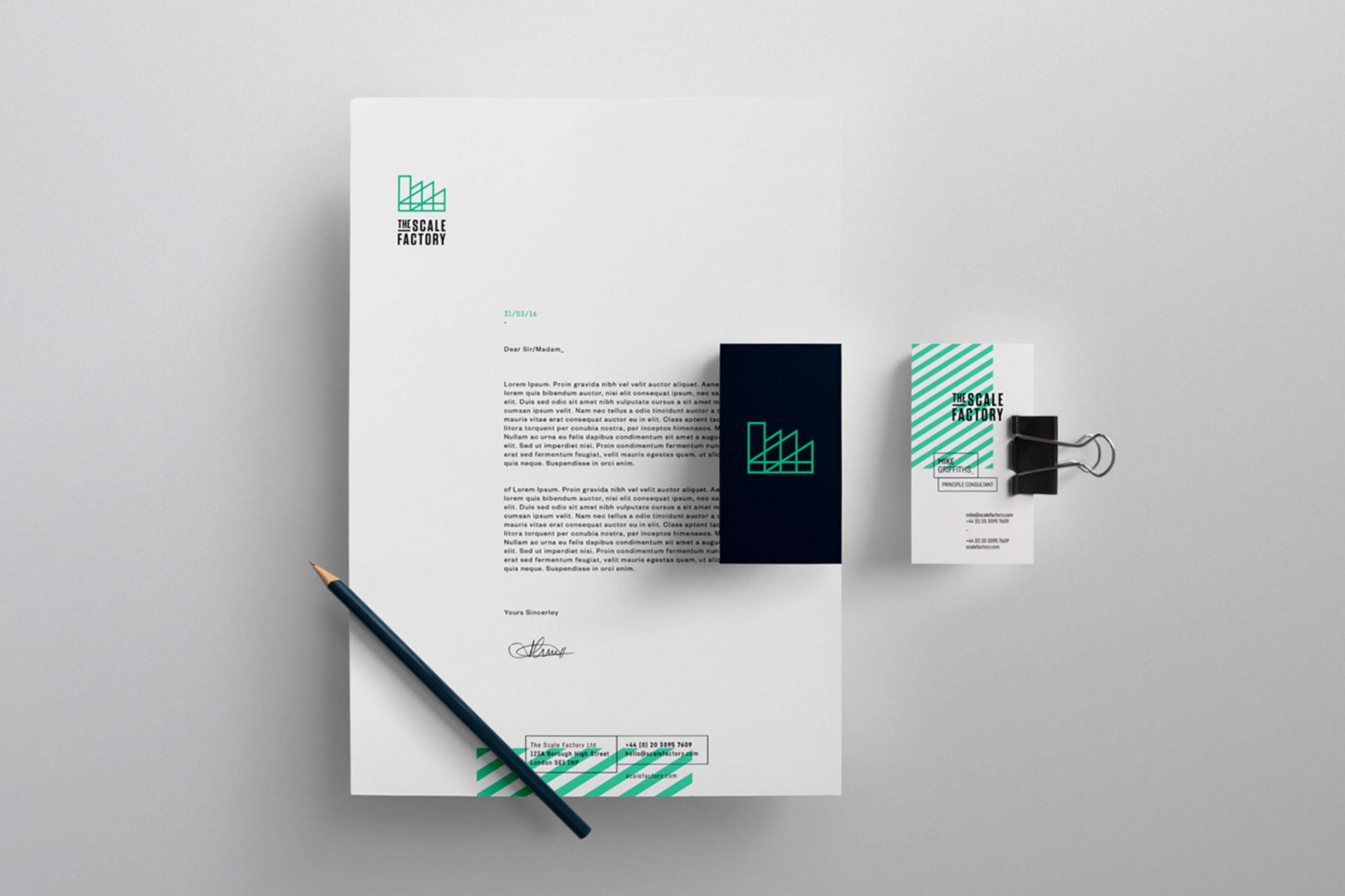 The Scale Factory by Sanj Sahota