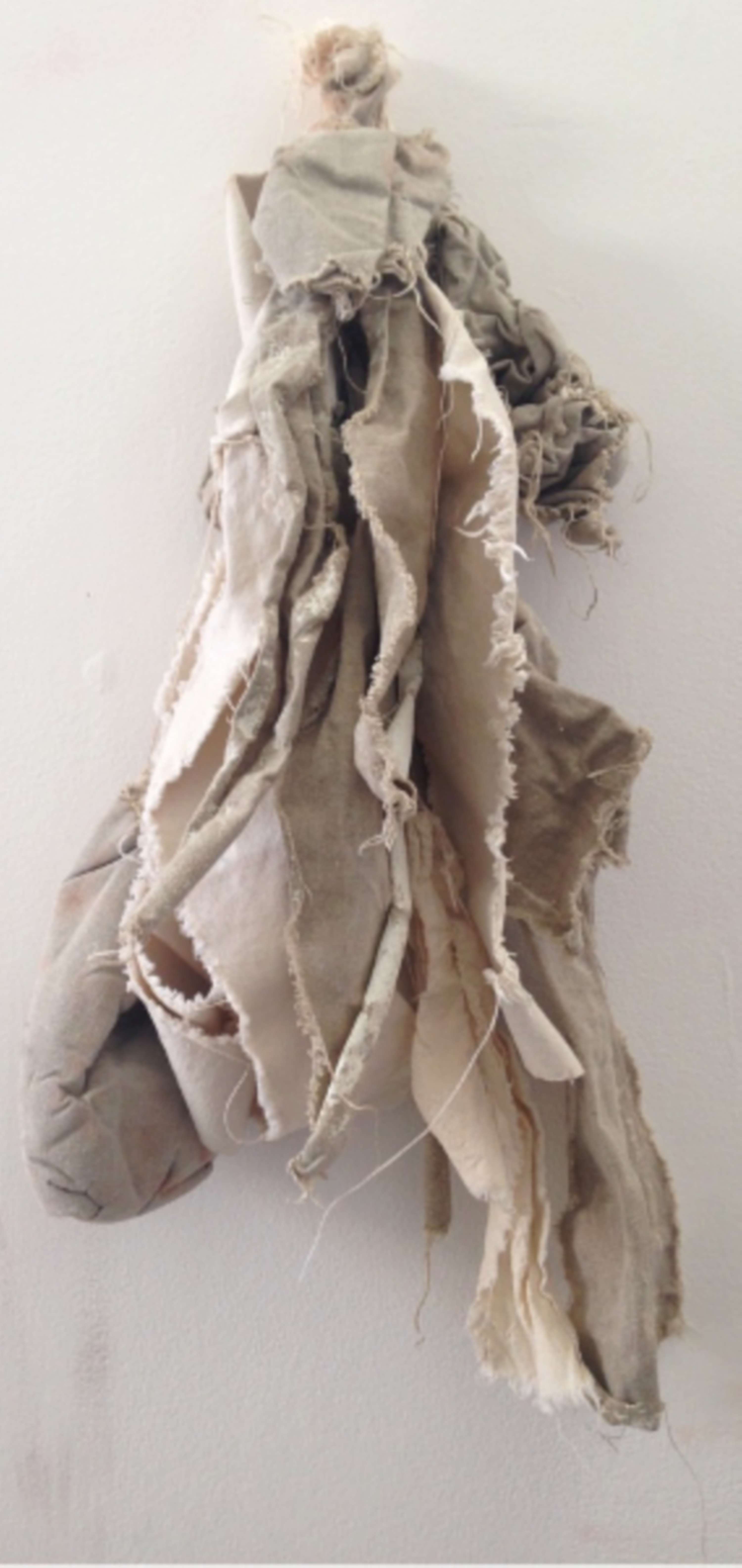 Folding Gravity by Clara Dias