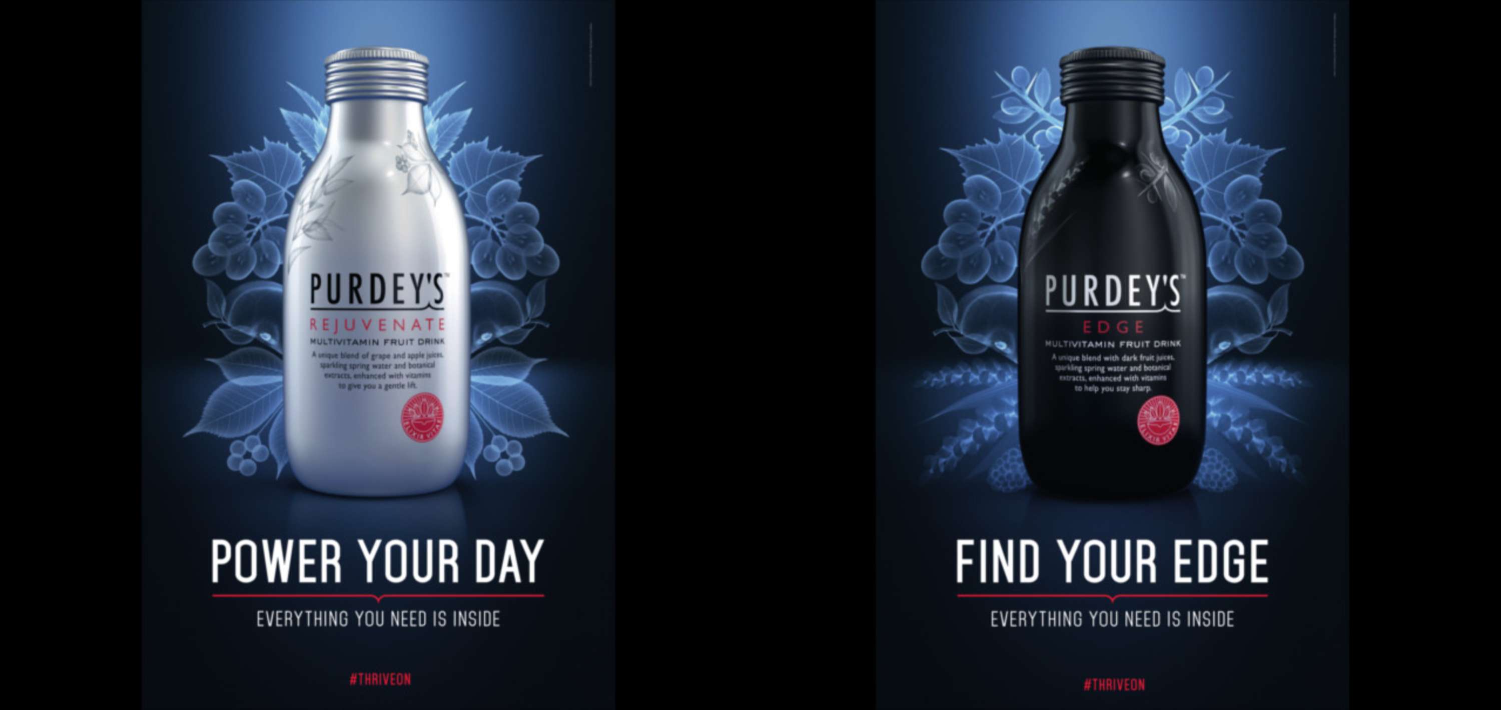 Everything You Need Is Inside by Iris