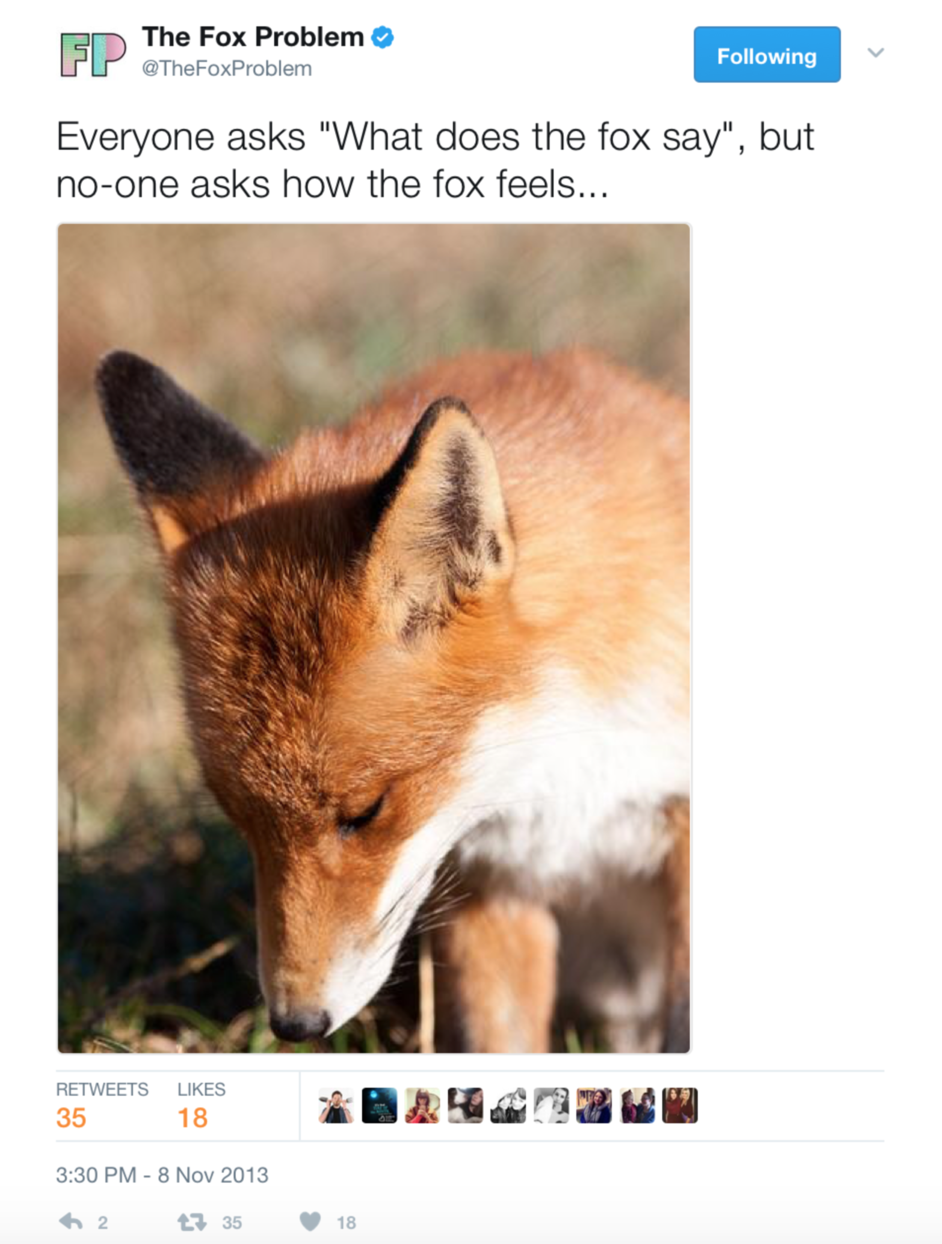 The Fox Problem by Rebecca Pattinson