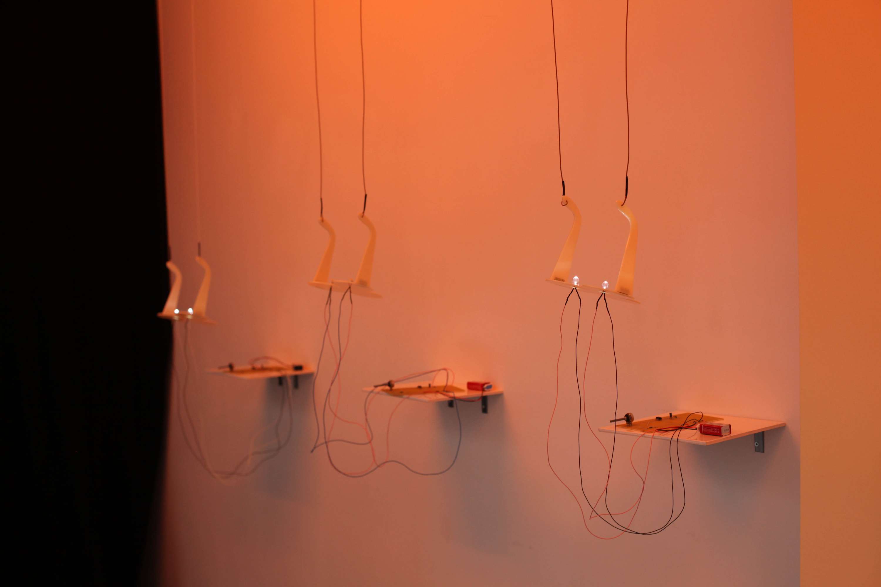 Valentina Pini - Tonic Immobility by Owen Lacey