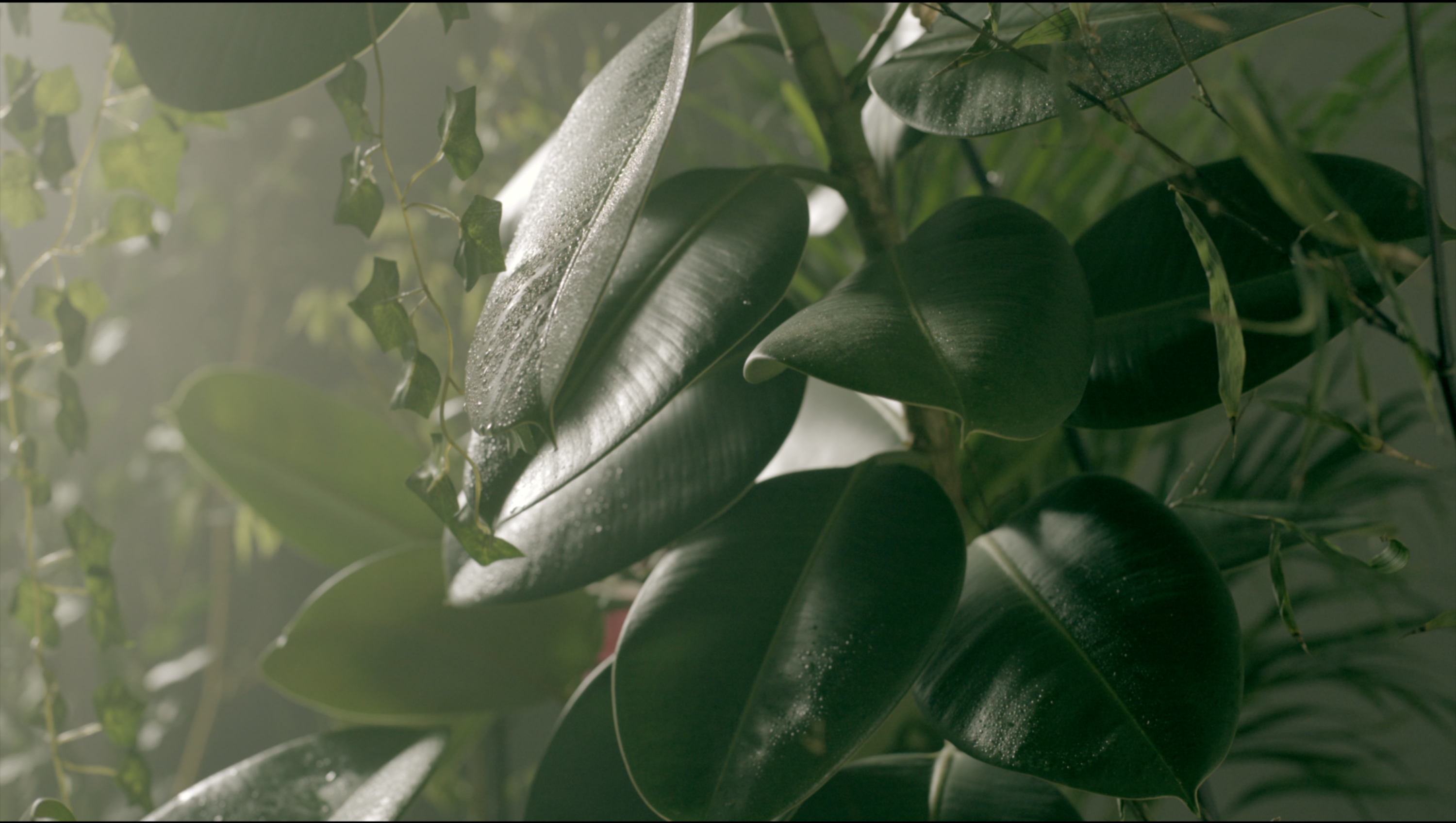 EDEN by Charlie tatham