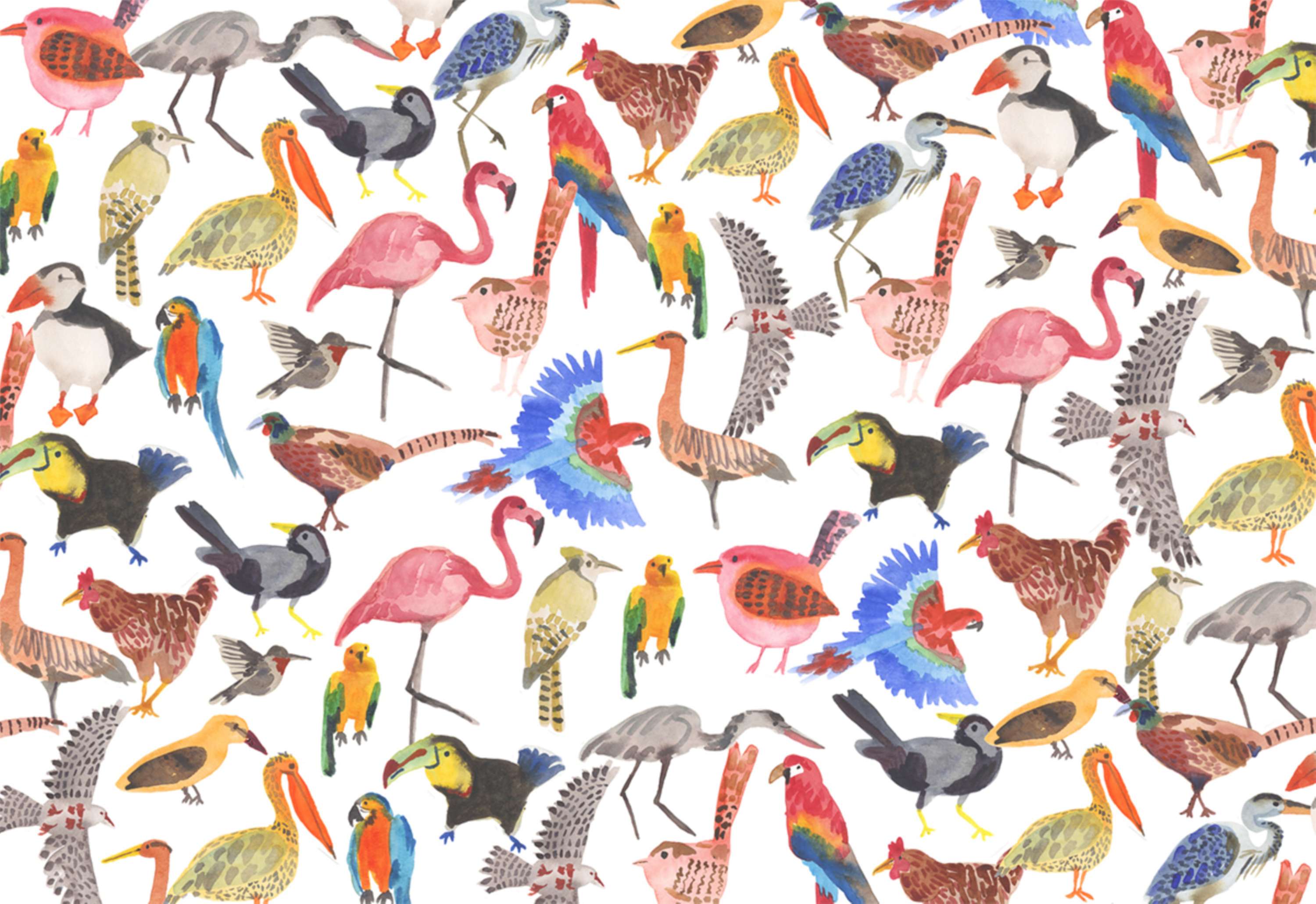 Fin & Feather by Miranda Sofroniou
