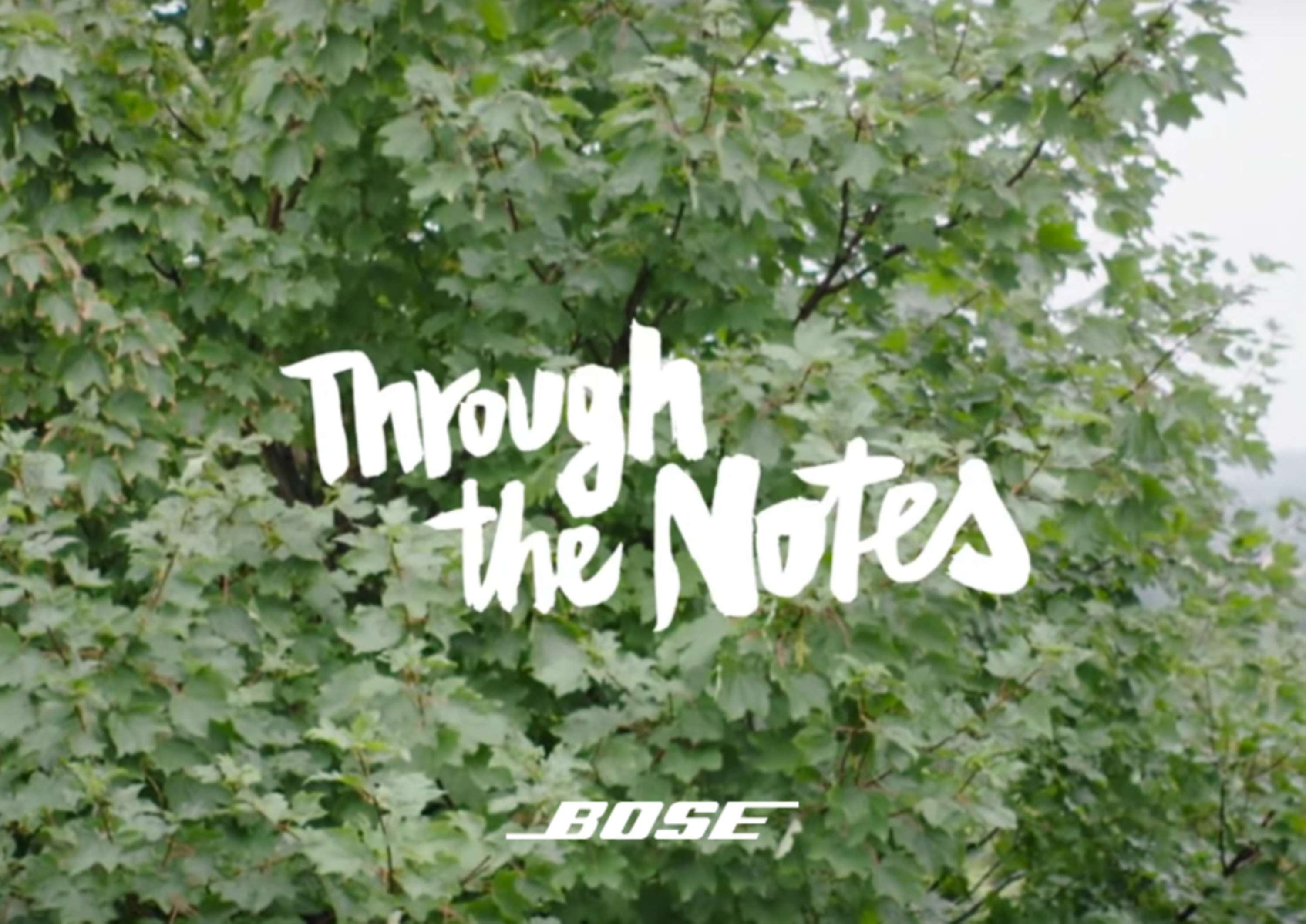 Bose - Through The Notes by Ashley Kitchin