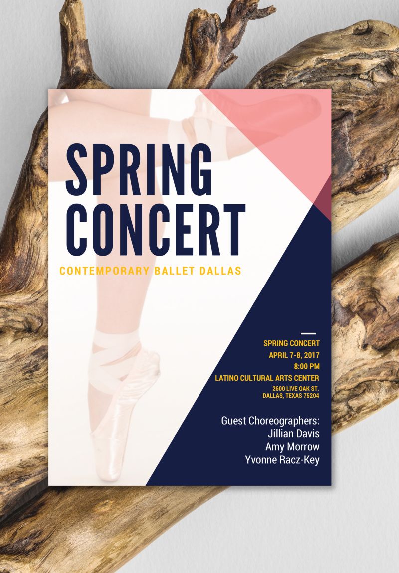 Contemporary Ballet Dallas Spring Concert Program - 20 Pages by Kristin Hess