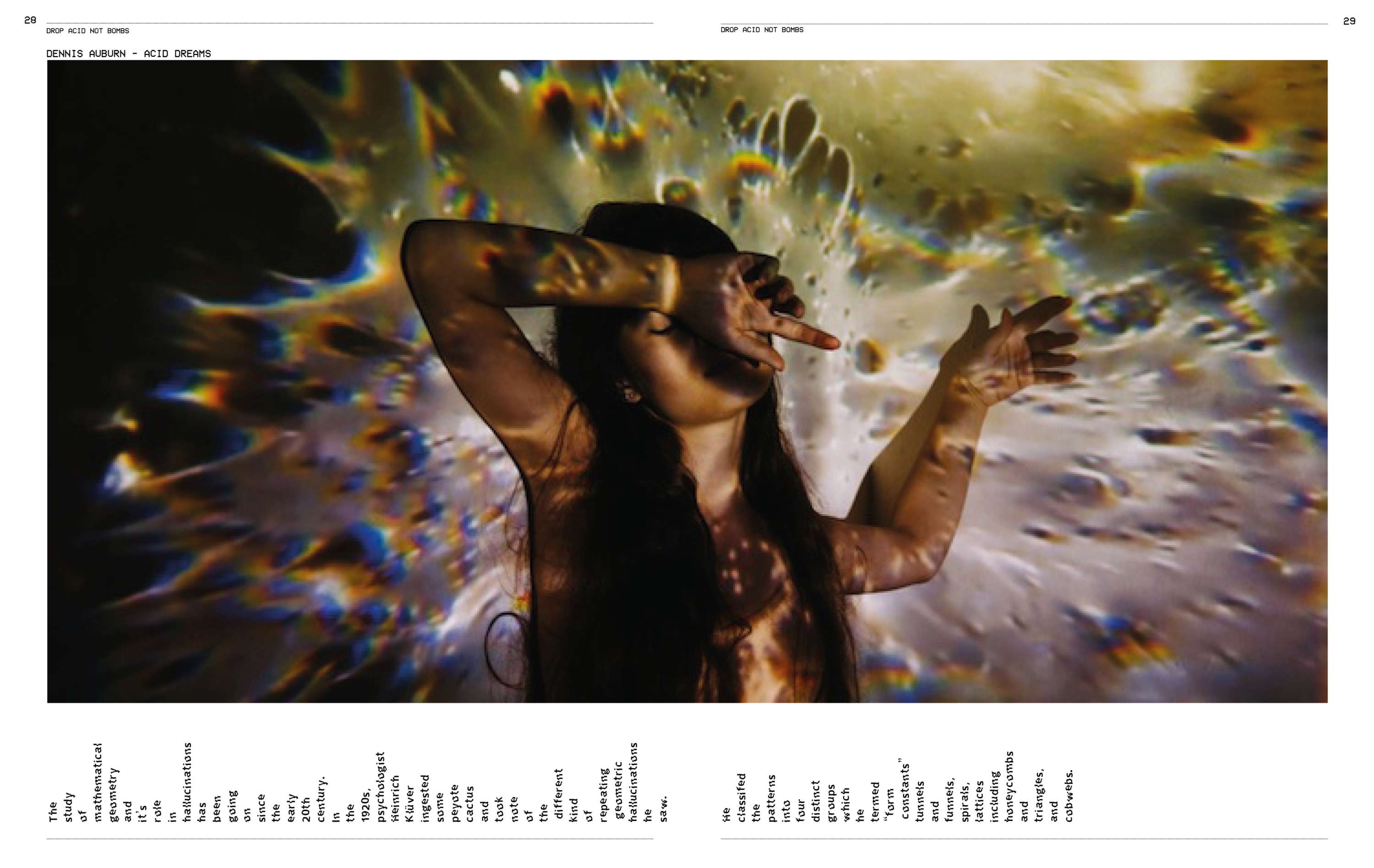 Drop Acid not Bombs by Eve Meyerowitz