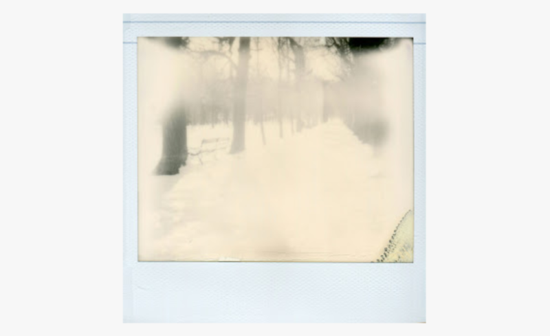 Viennese Dreams by Federica Ramazzotti