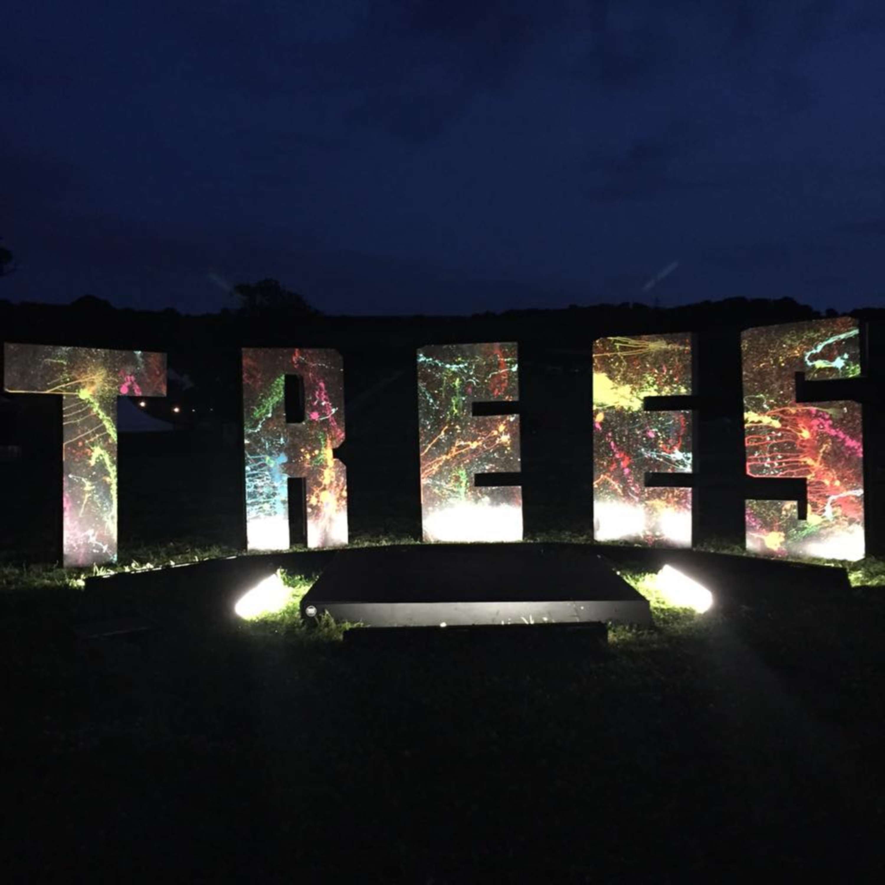 2000Trees Fesitival by Amy Holden