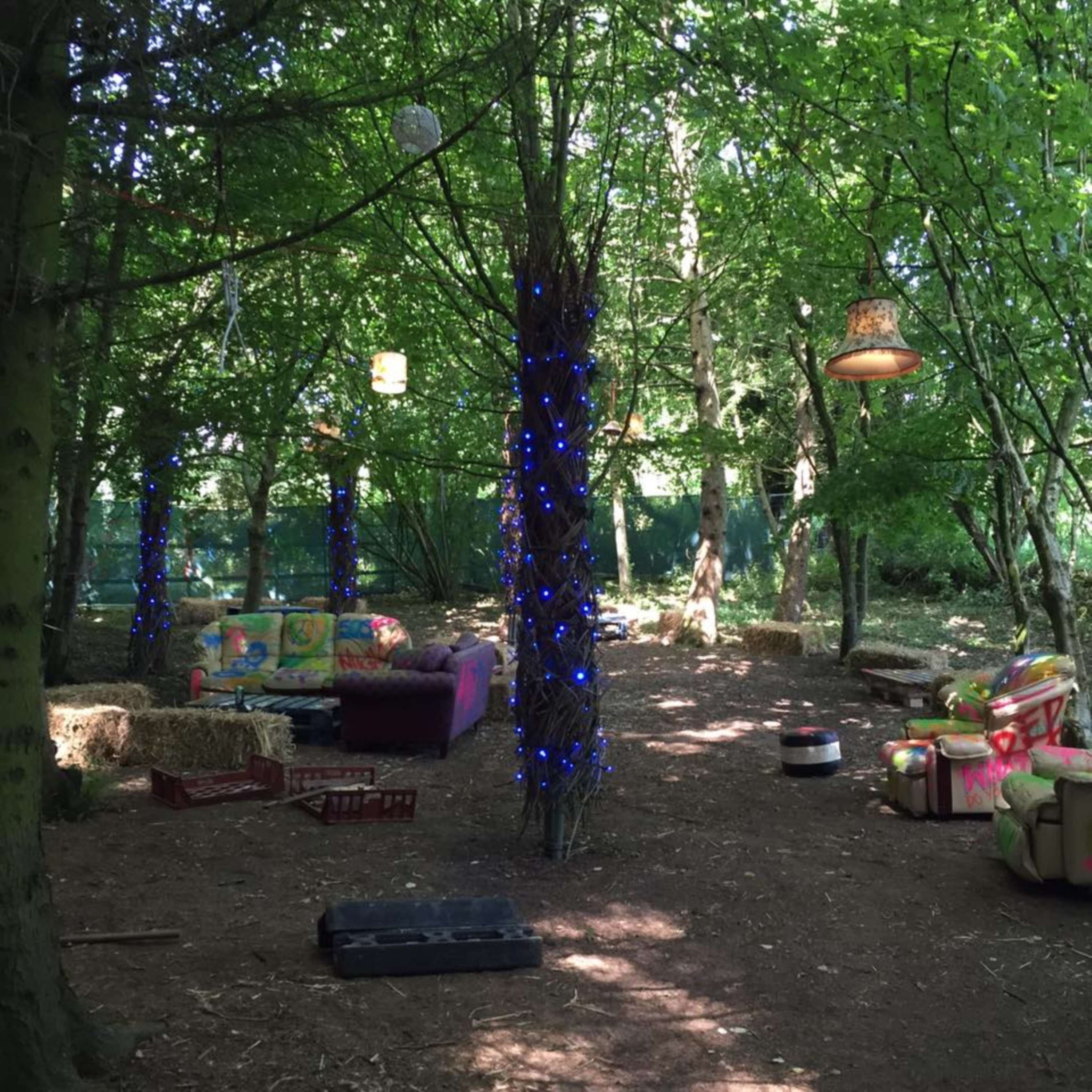 2000Trees Fesitival by Amy Holden
