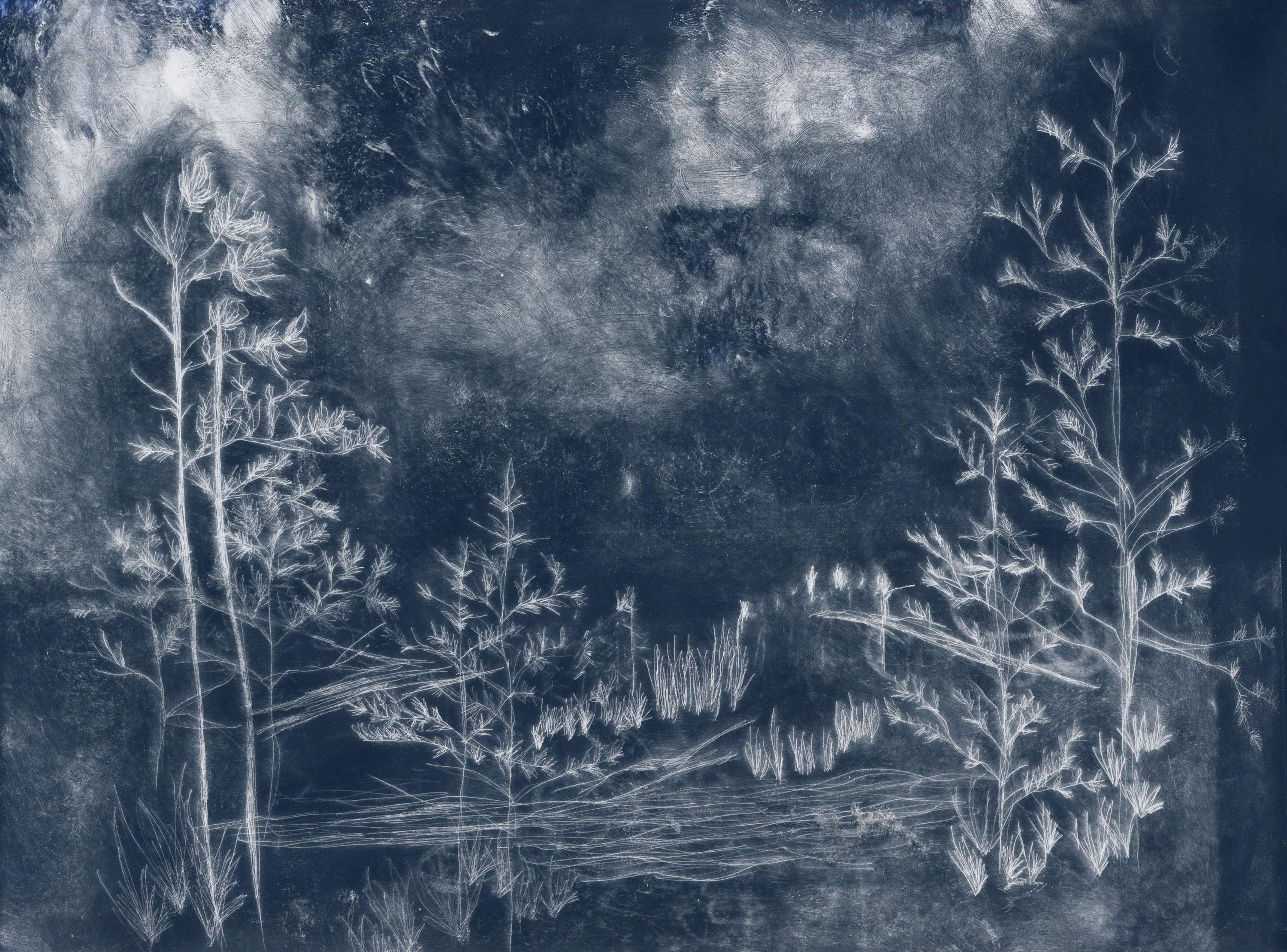 Where, then, does the path lead? by Lauren Wright