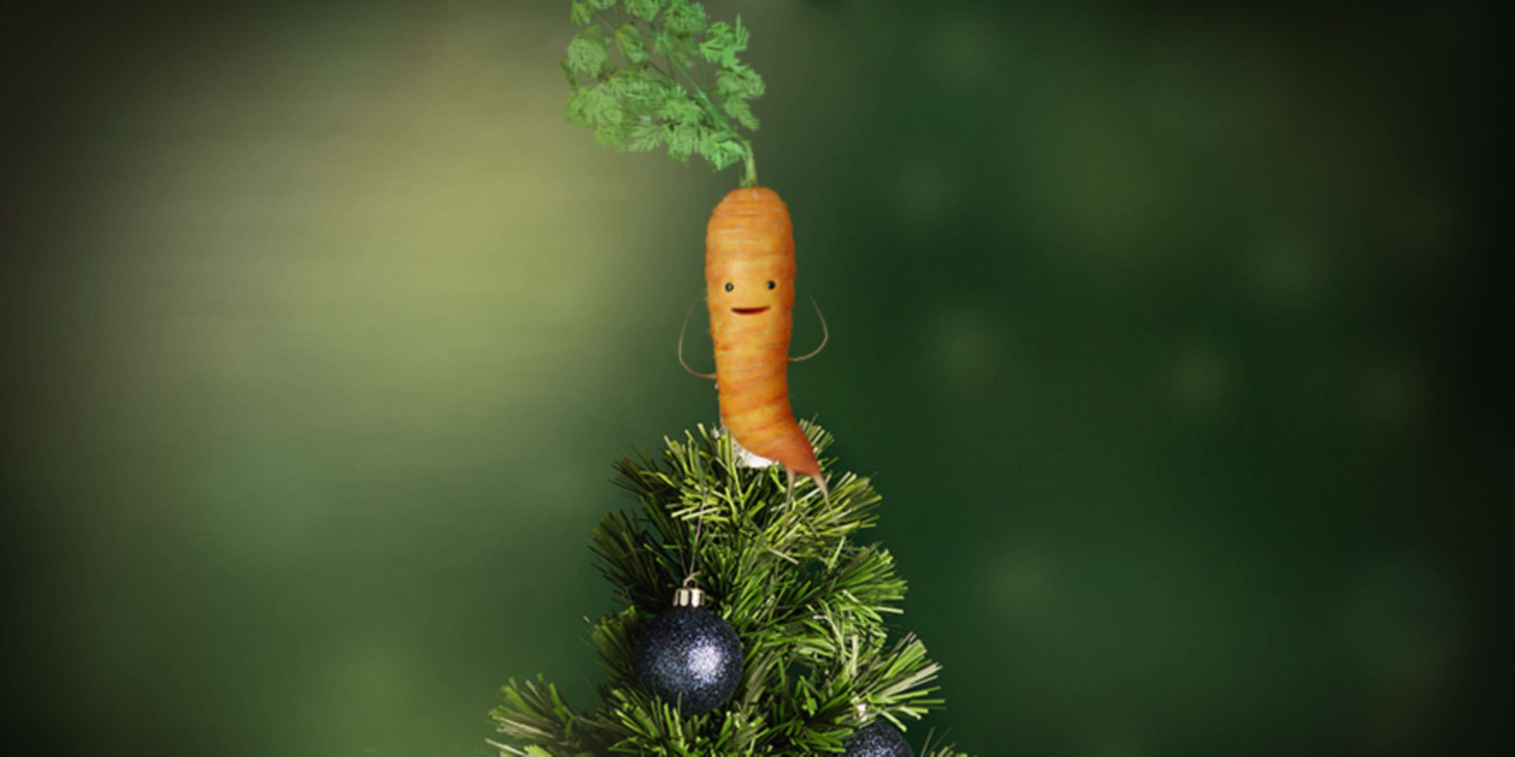 Aldi's Kevin the Carrot by Andi Tajti
