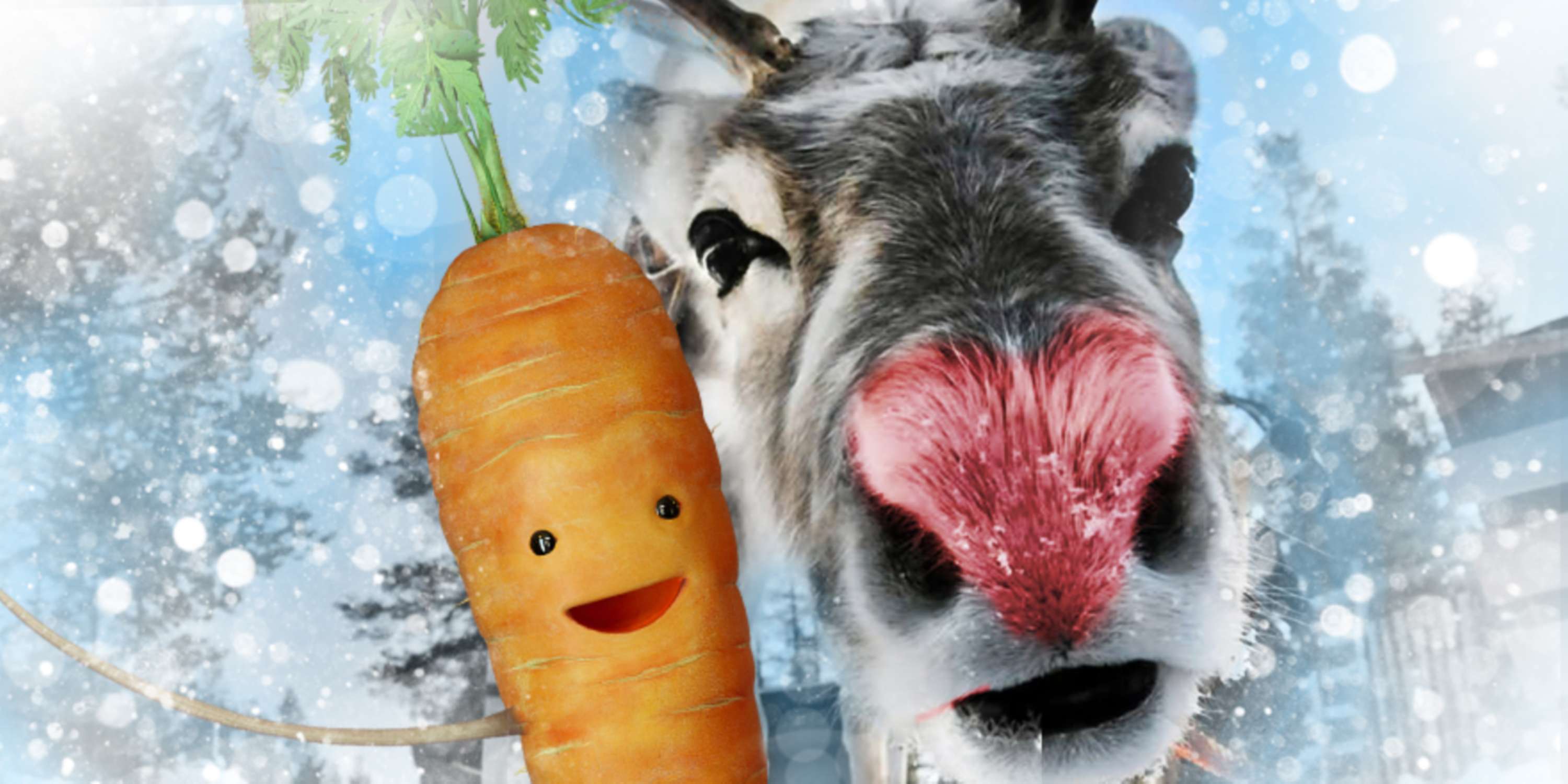 Aldi's Kevin the Carrot by Andi Tajti