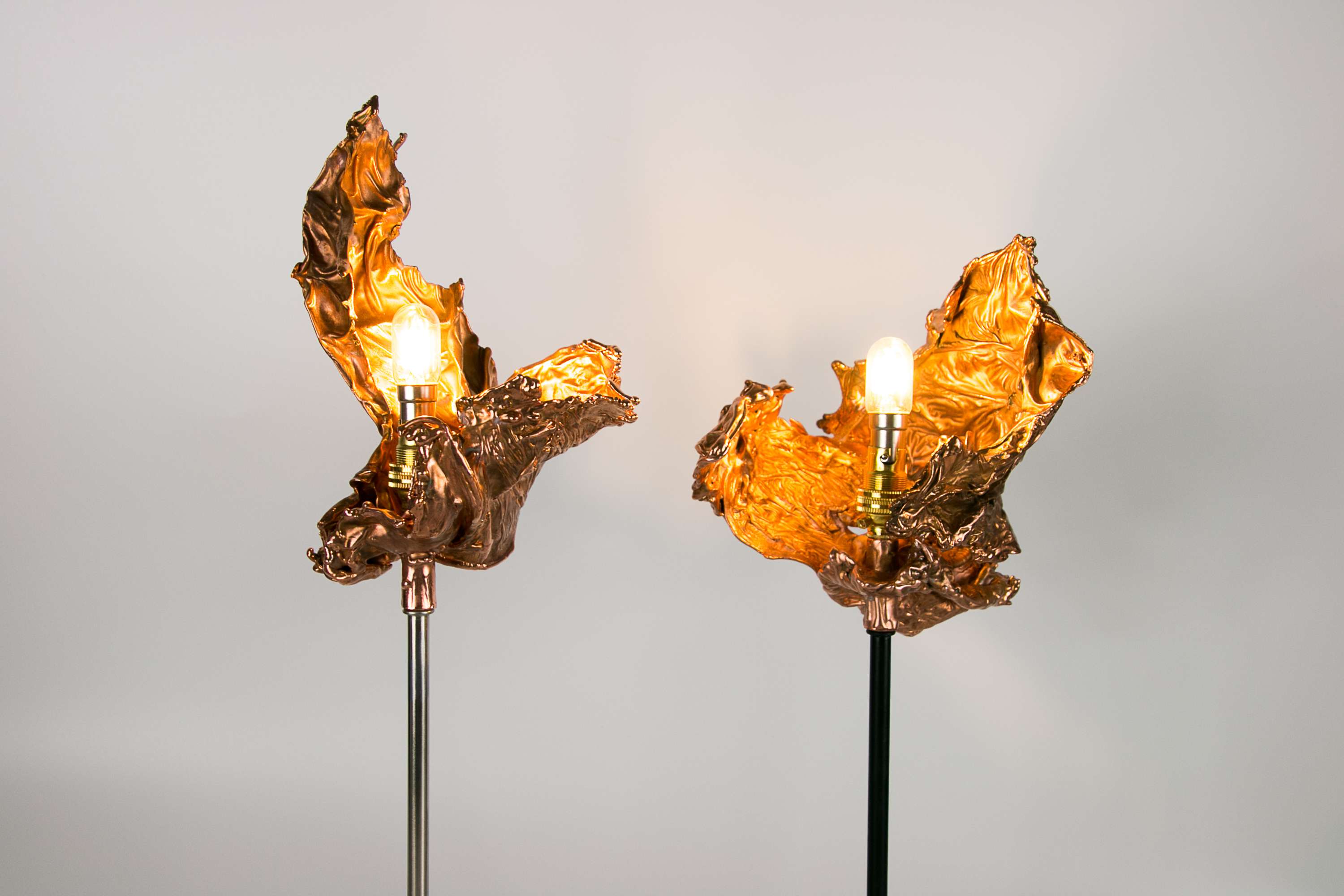 Copper diffusion collection by Amy Pendred
