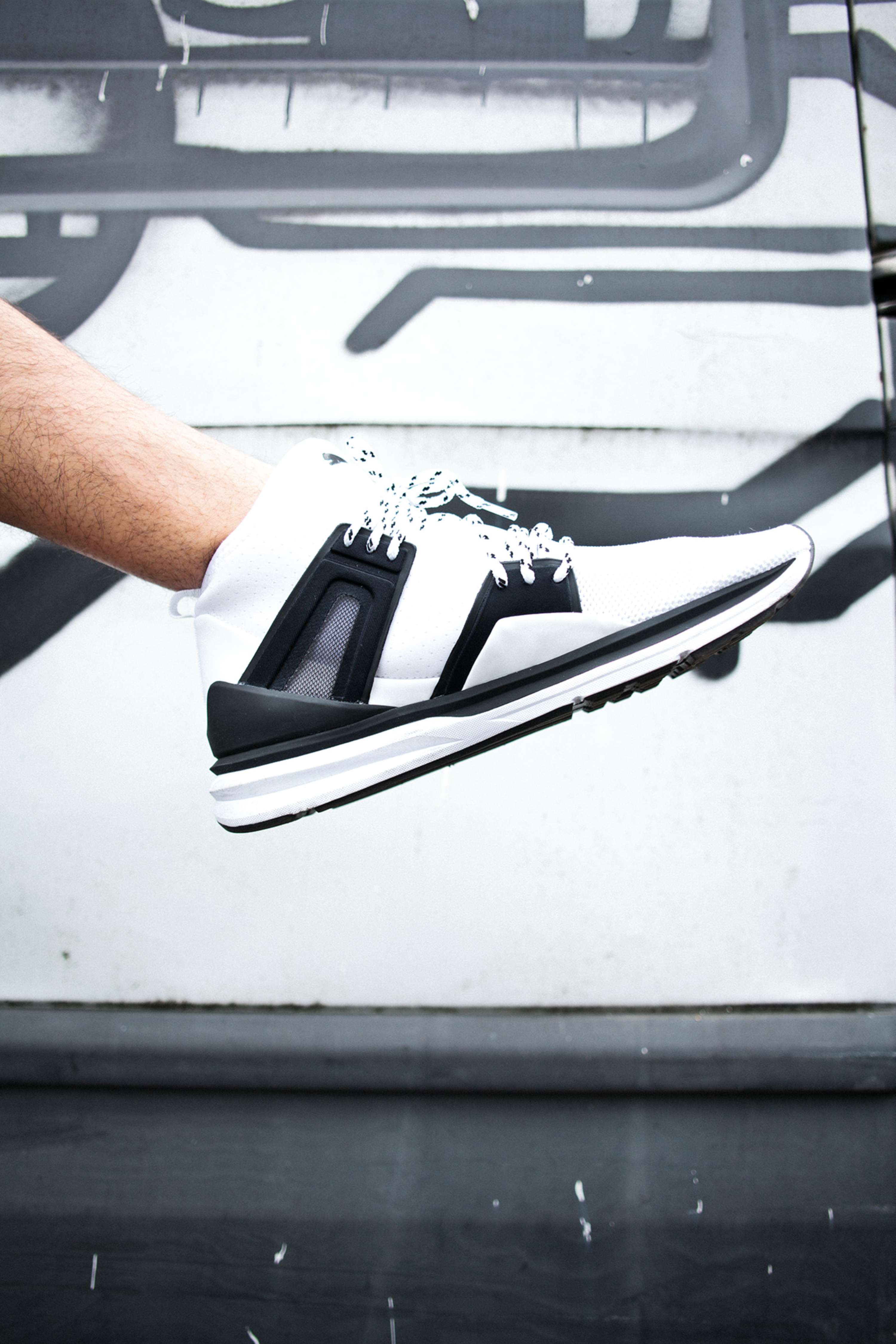 PUMA FEATURE by Joel Palmer