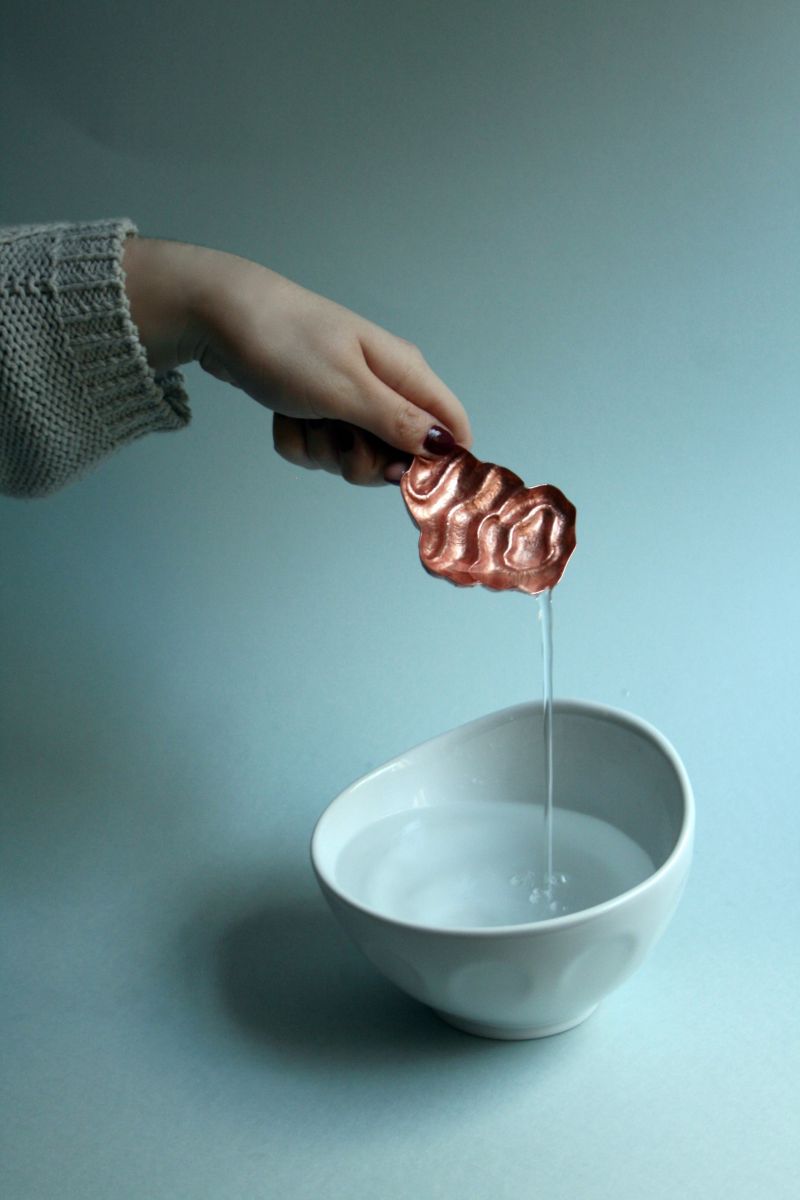 The Immortality Dish by Eea Vatanen