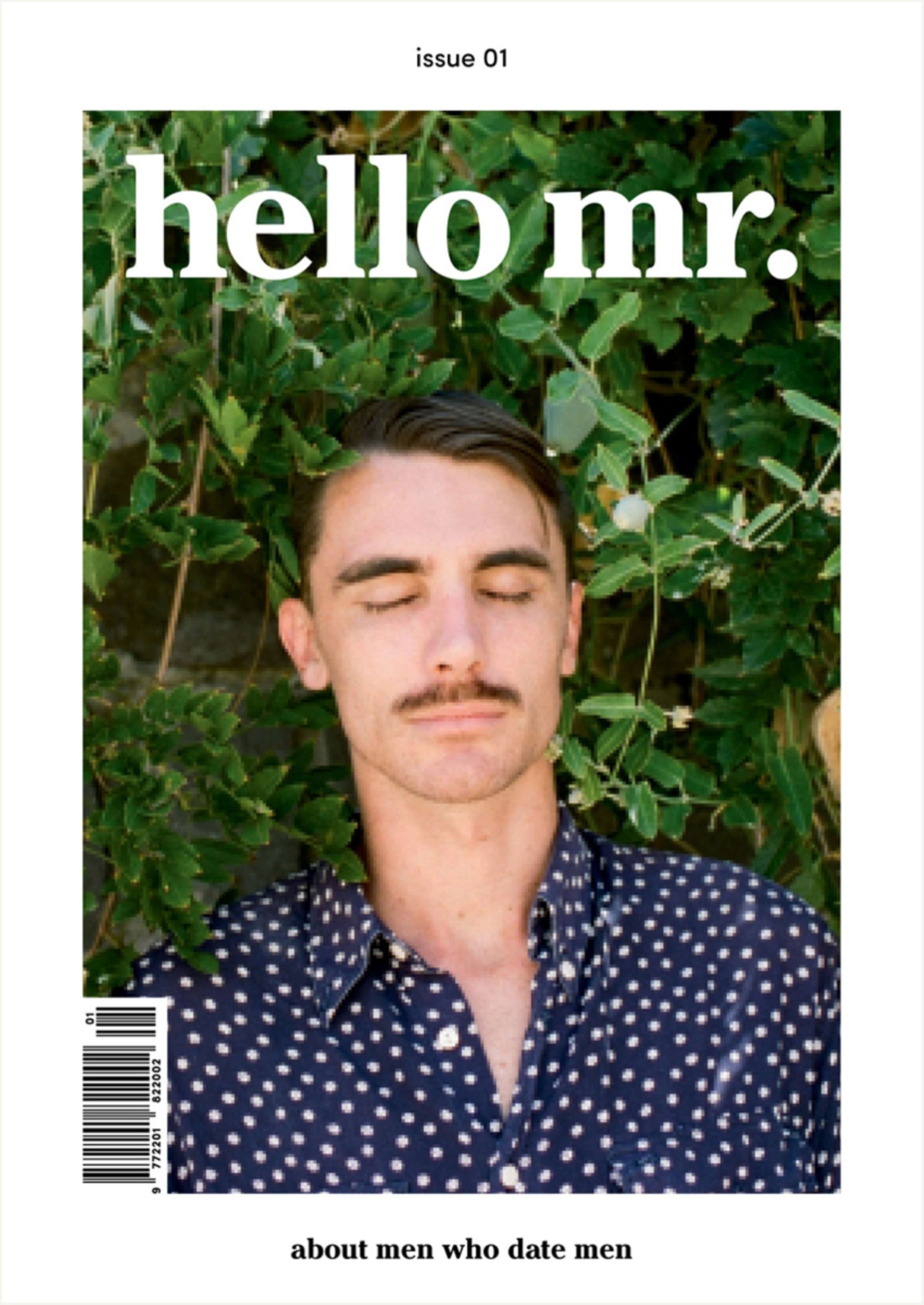 Hello Mr #1 by Hello Mr
