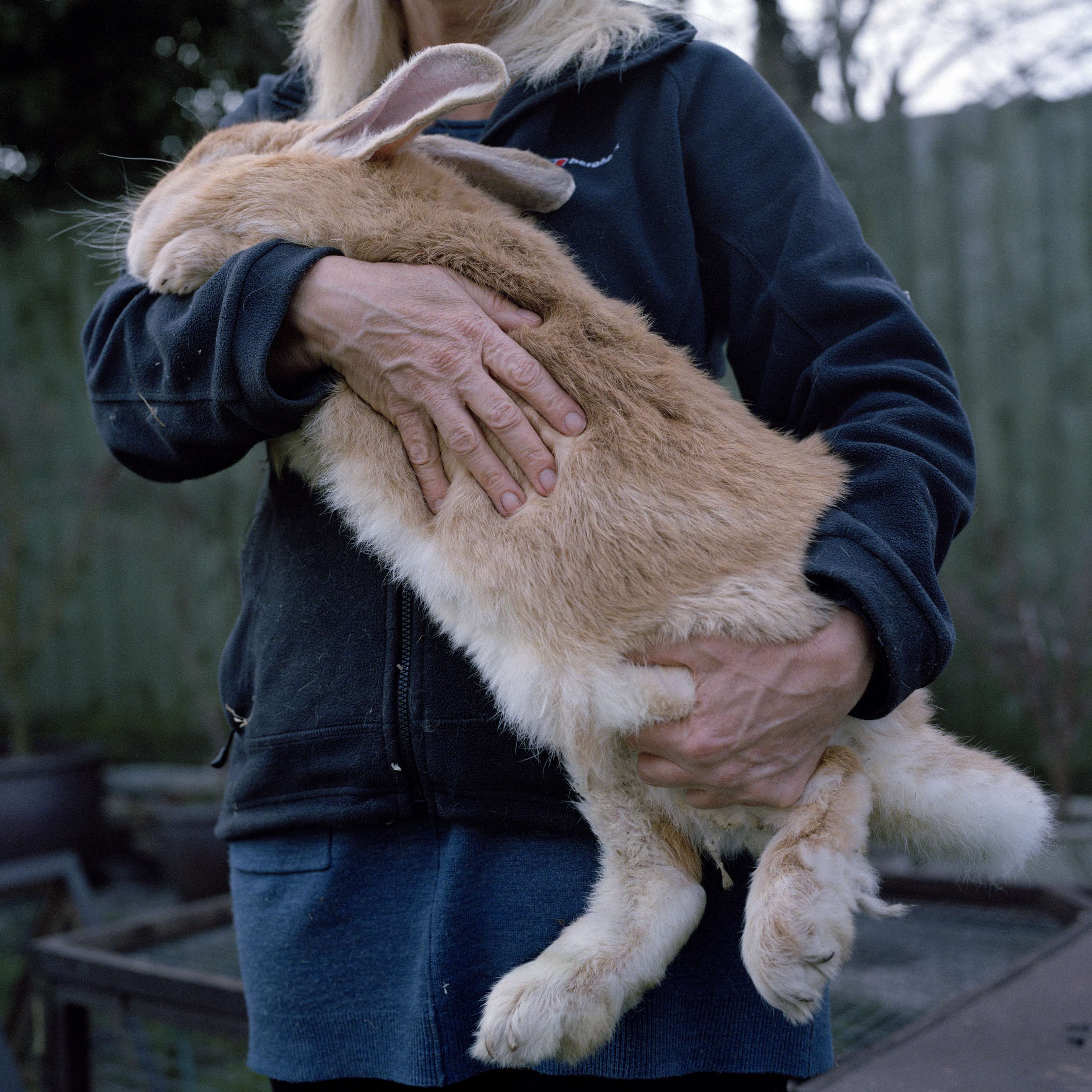 The Stranger in the Field by Polly Garnett