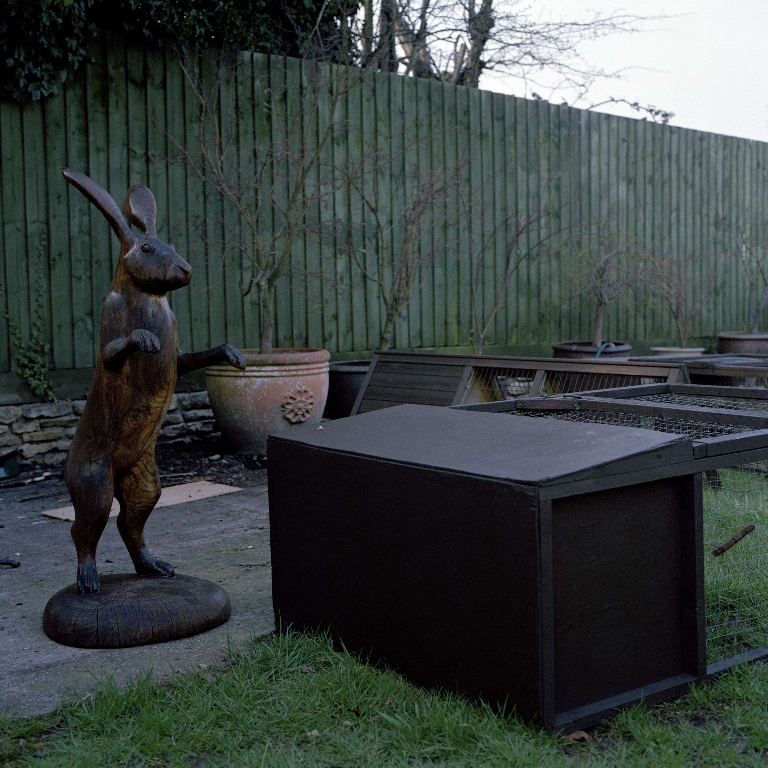 The Stranger in the Field by Polly Garnett