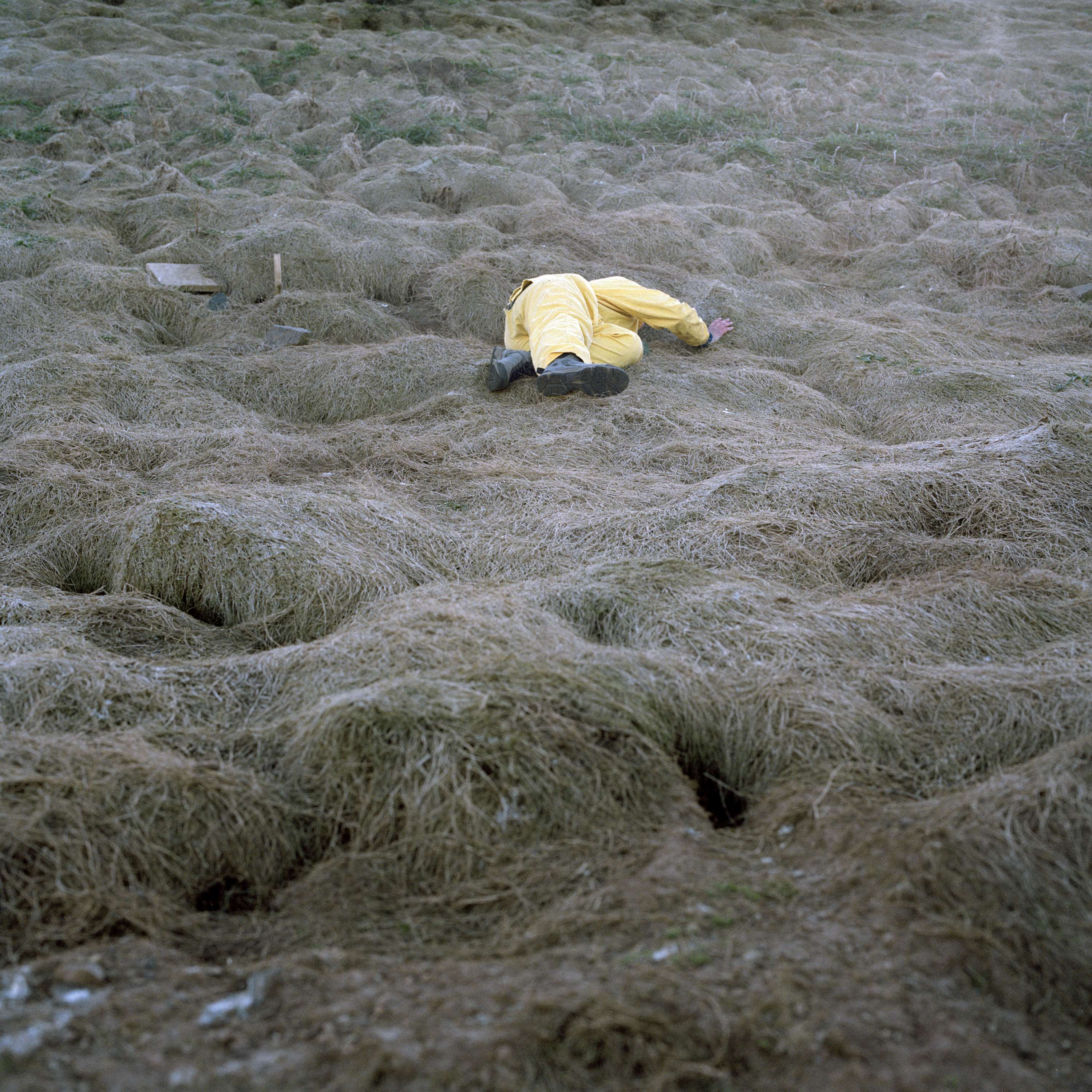 The Stranger in the Field by Polly Garnett