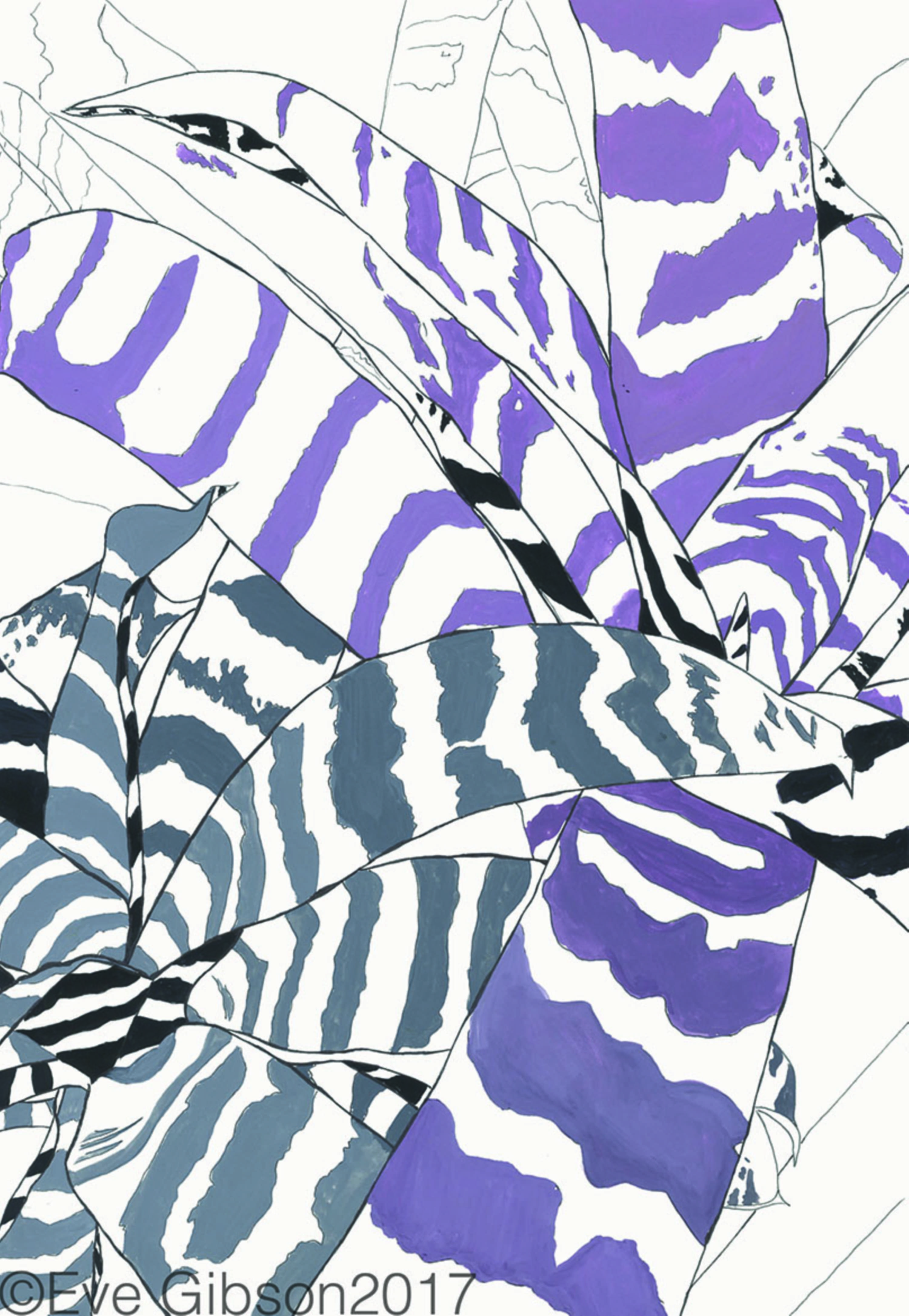 Drawing Developments by Eve Gibson