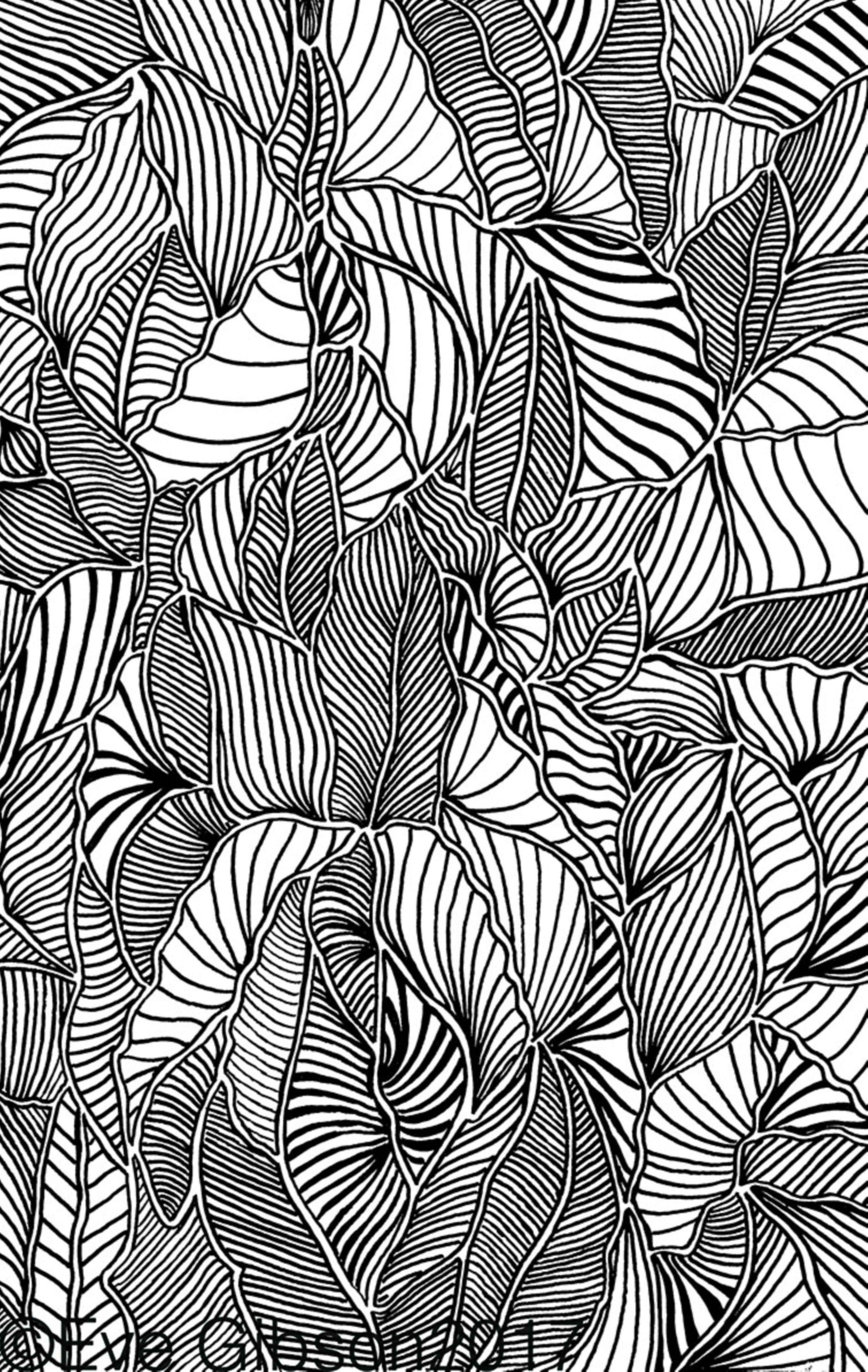 Drawing Developments by Eve Gibson