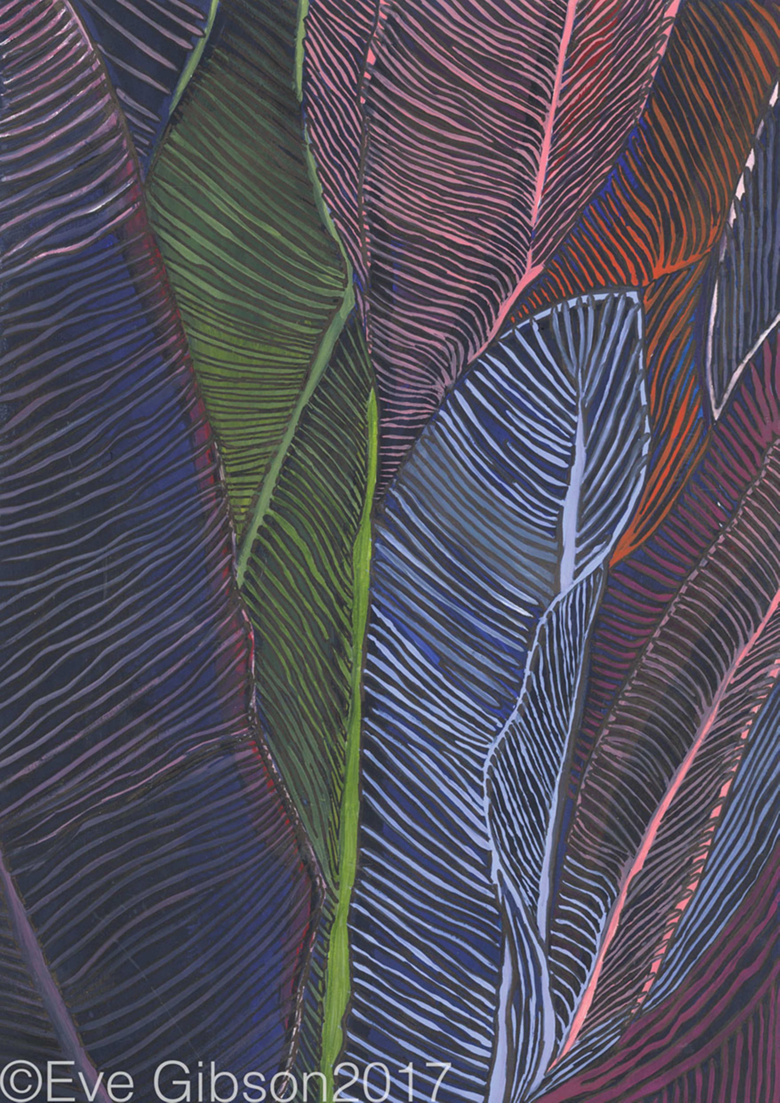 Drawing Developments by Eve Gibson