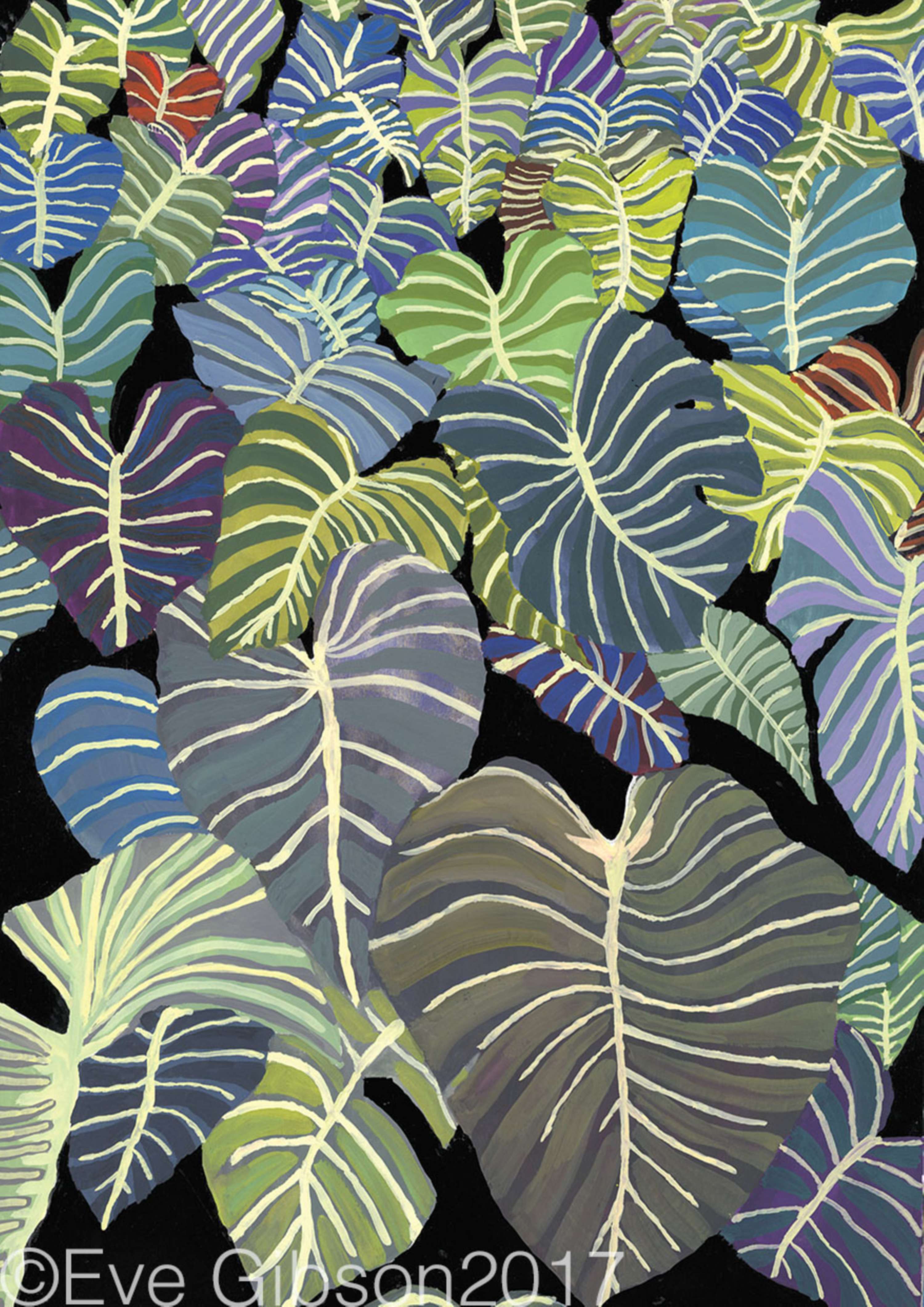 Drawing Developments by Eve Gibson