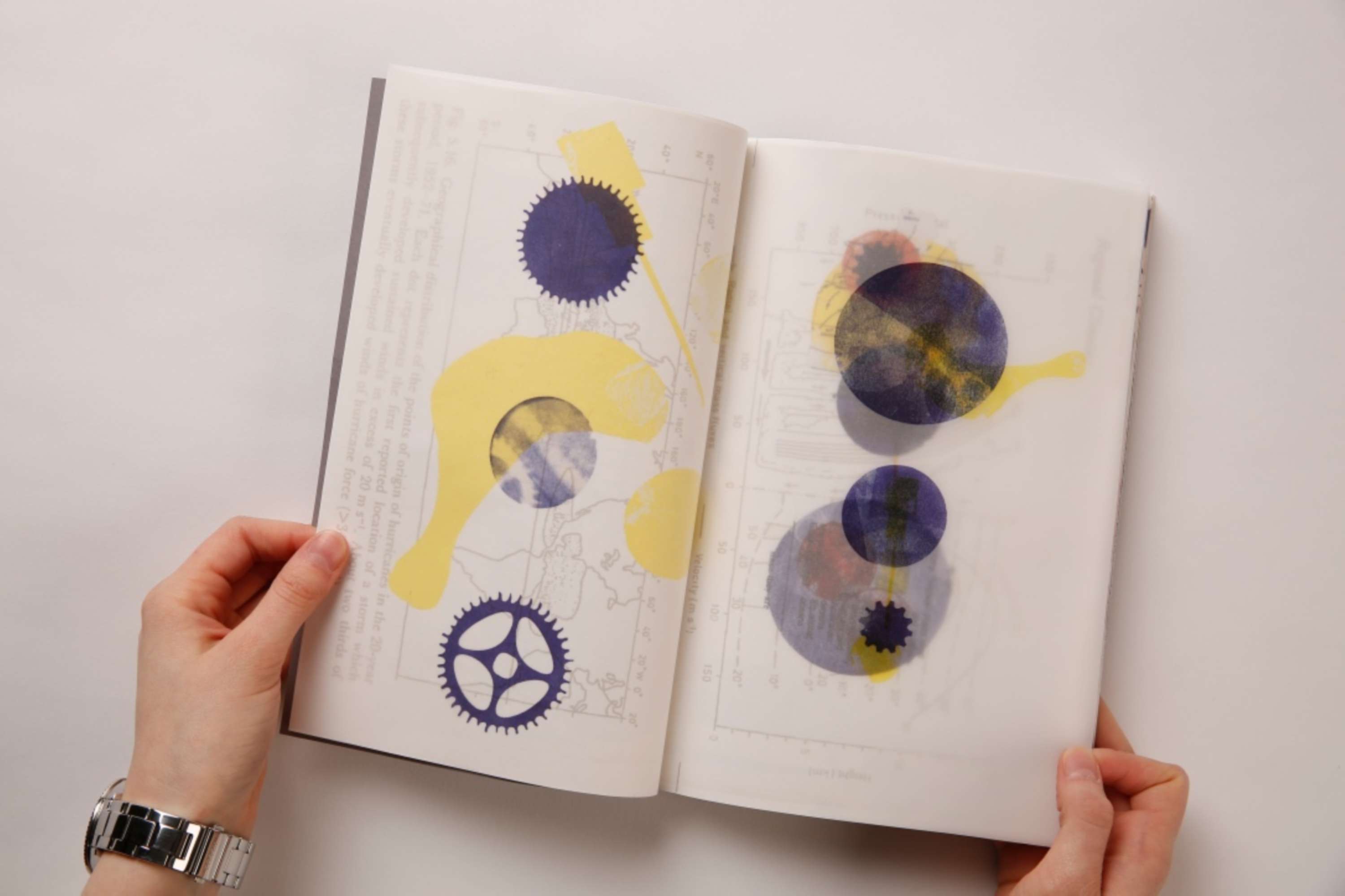 Object(ive) Accounts by Mackenzie Turton