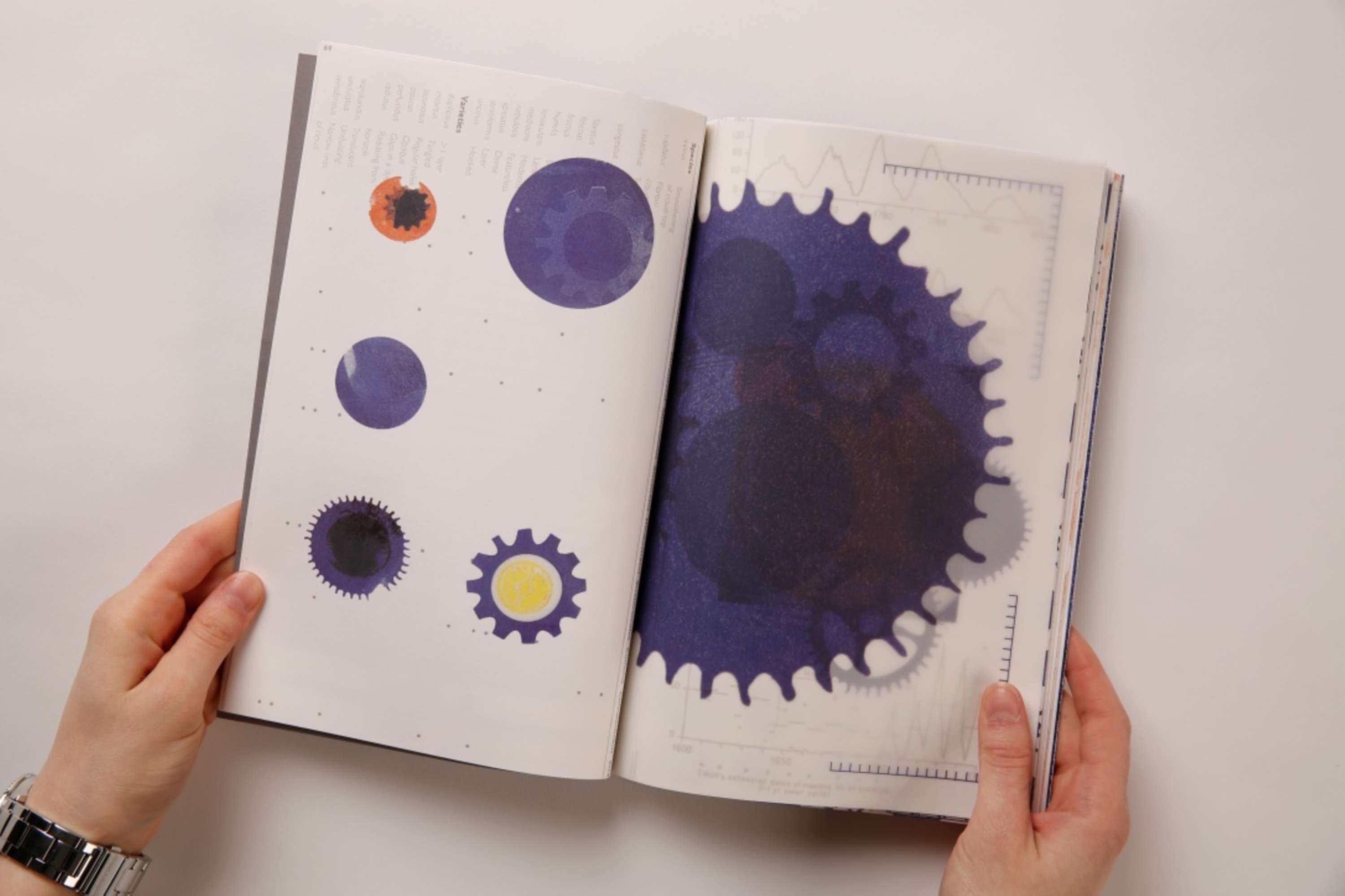 Object(ive) Accounts by Mackenzie Turton