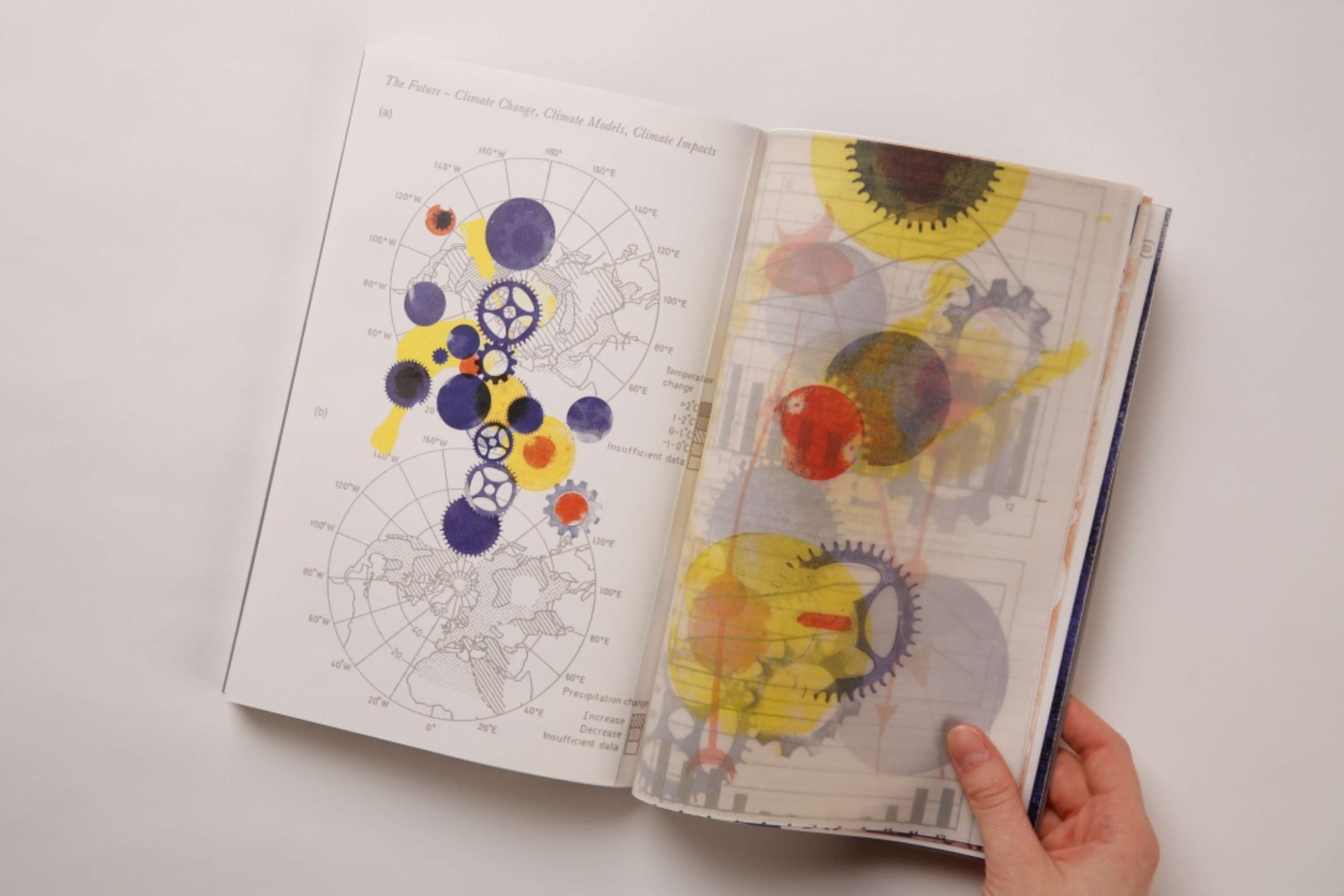 Object(ive) Accounts by Mackenzie Turton