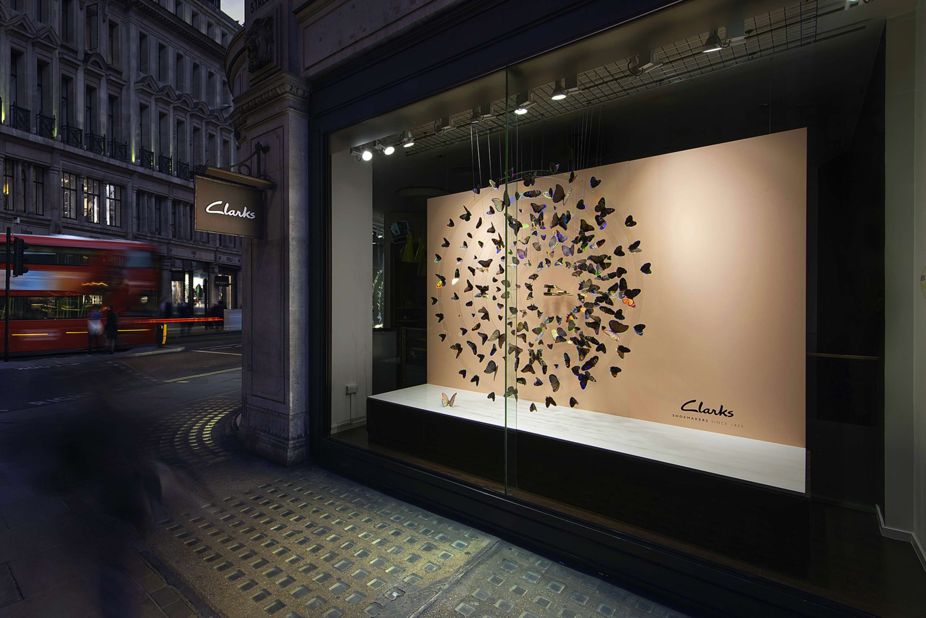 Butterfly Window by Clarks