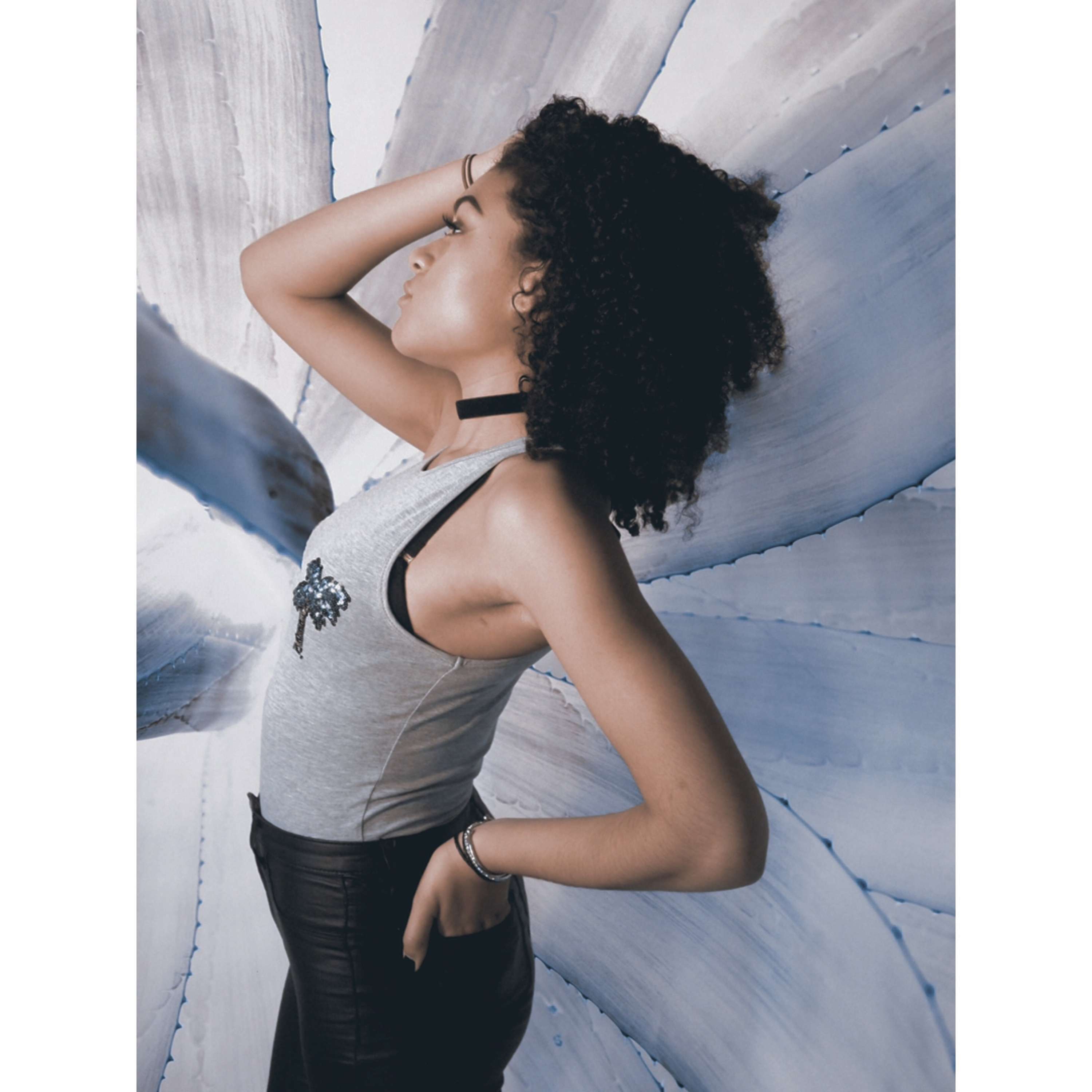 Composed editorials by Will Hume
