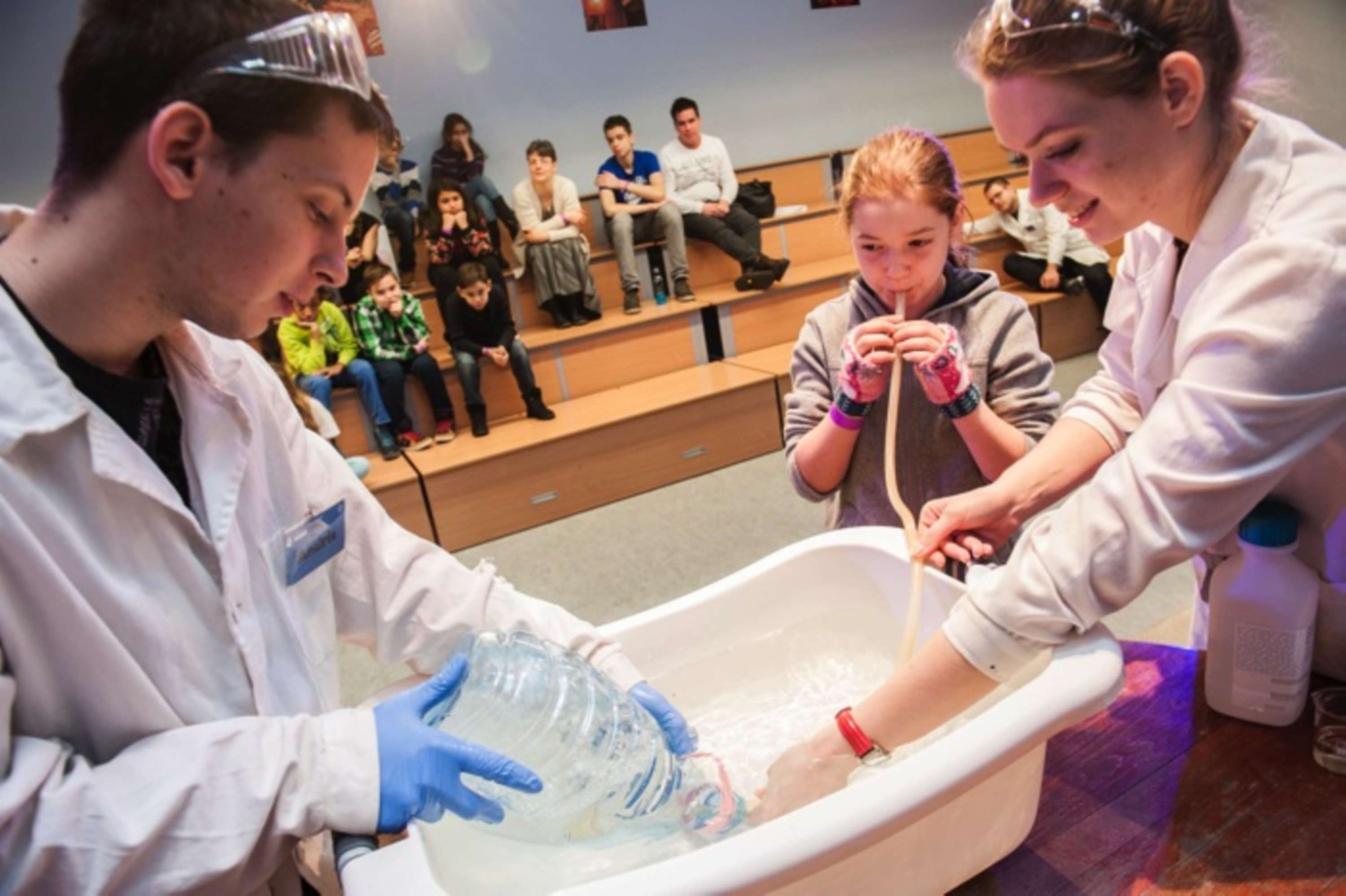 Making Science Make Sense by David Paloczy
