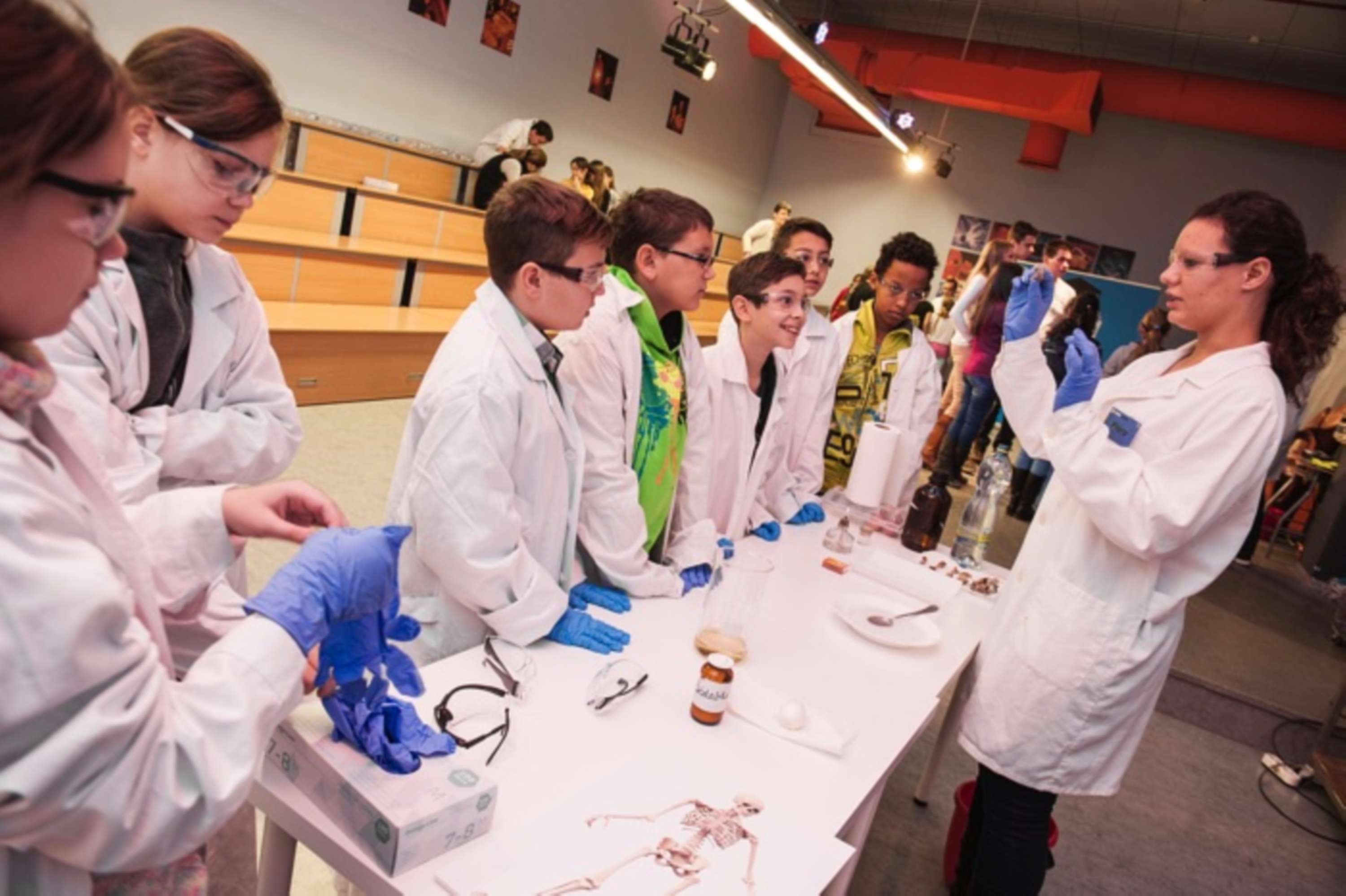 Making Science Make Sense by David Paloczy