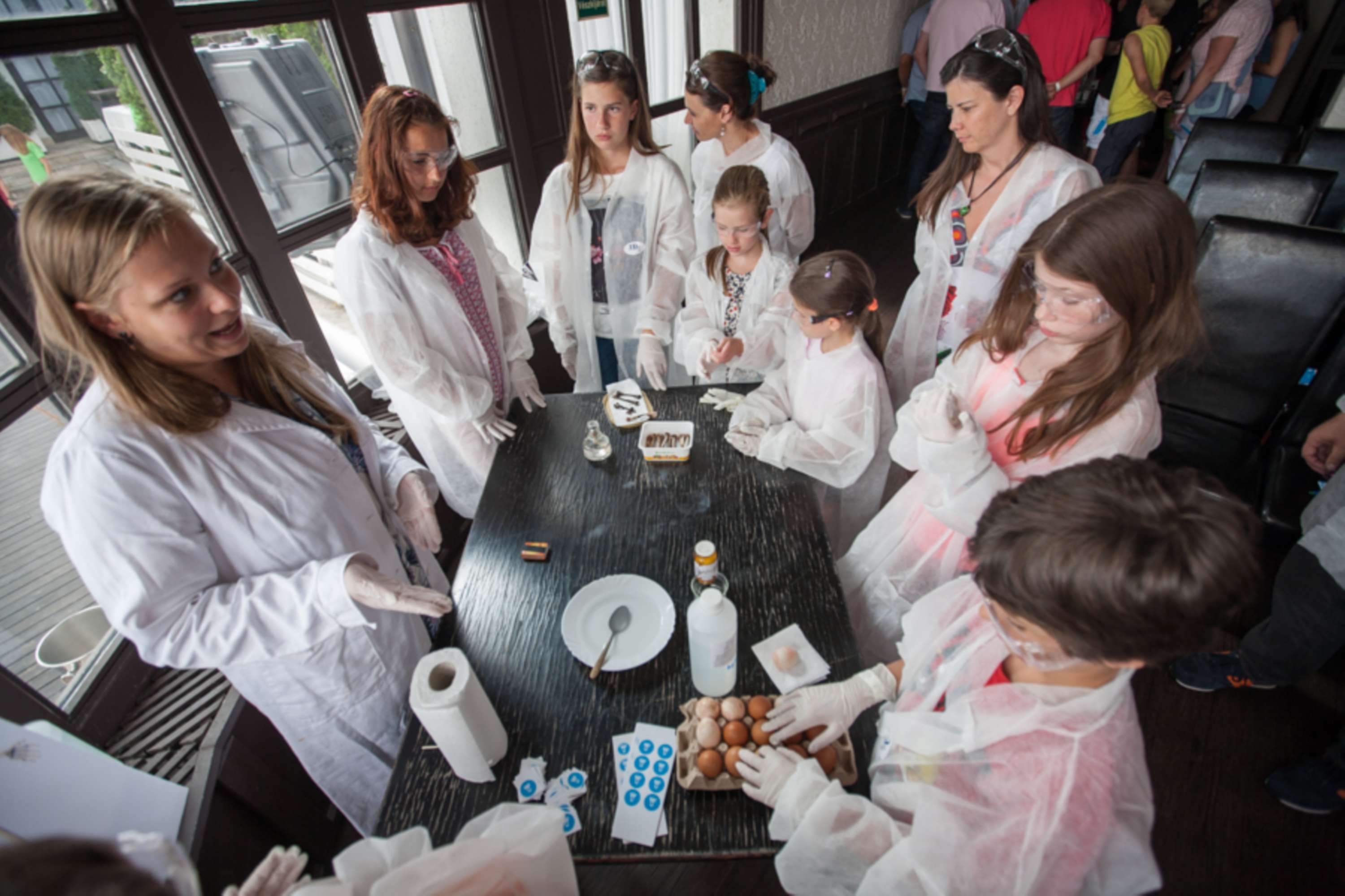 Making Science Make Sense by David Paloczy