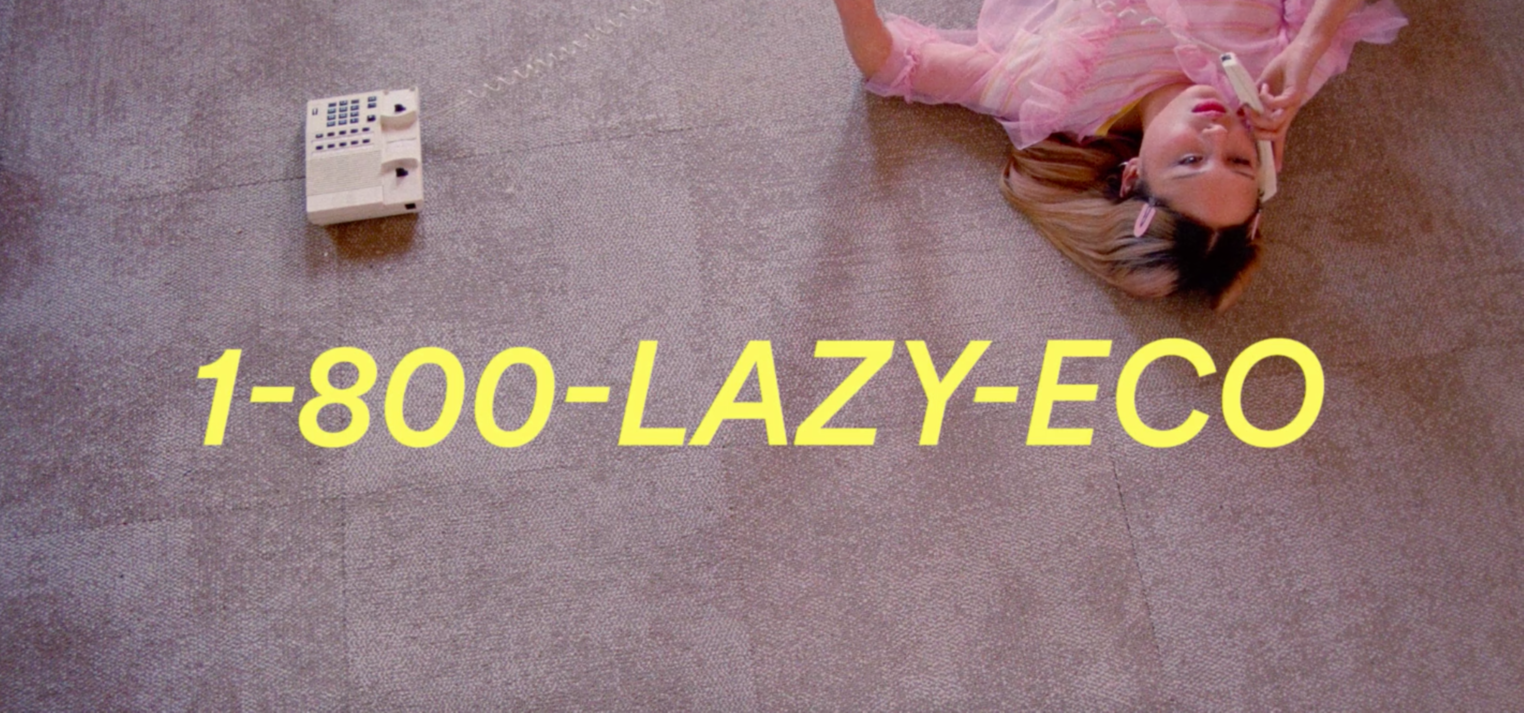1-800-LAZY-ECO by Megan Tynan-O'Mahony