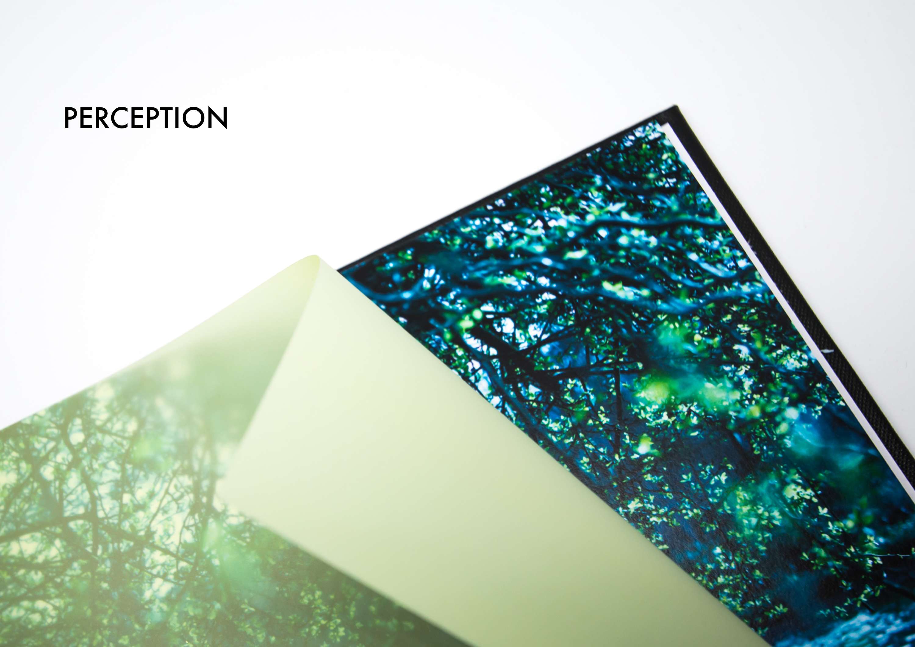 PERCEPTION - EDITORAL by Thomas Dunn