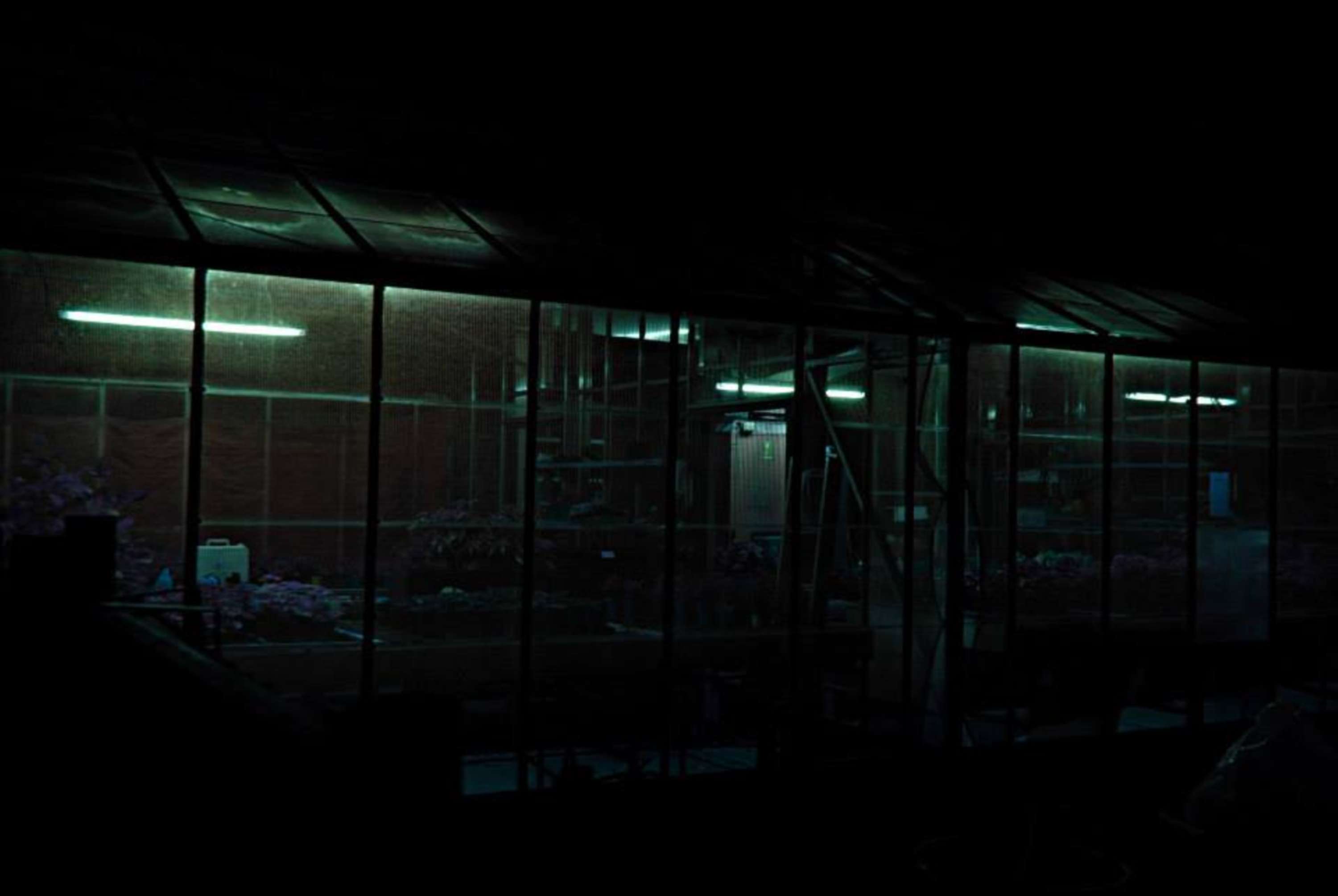 Dark Light project-2014 by Stacey Rose